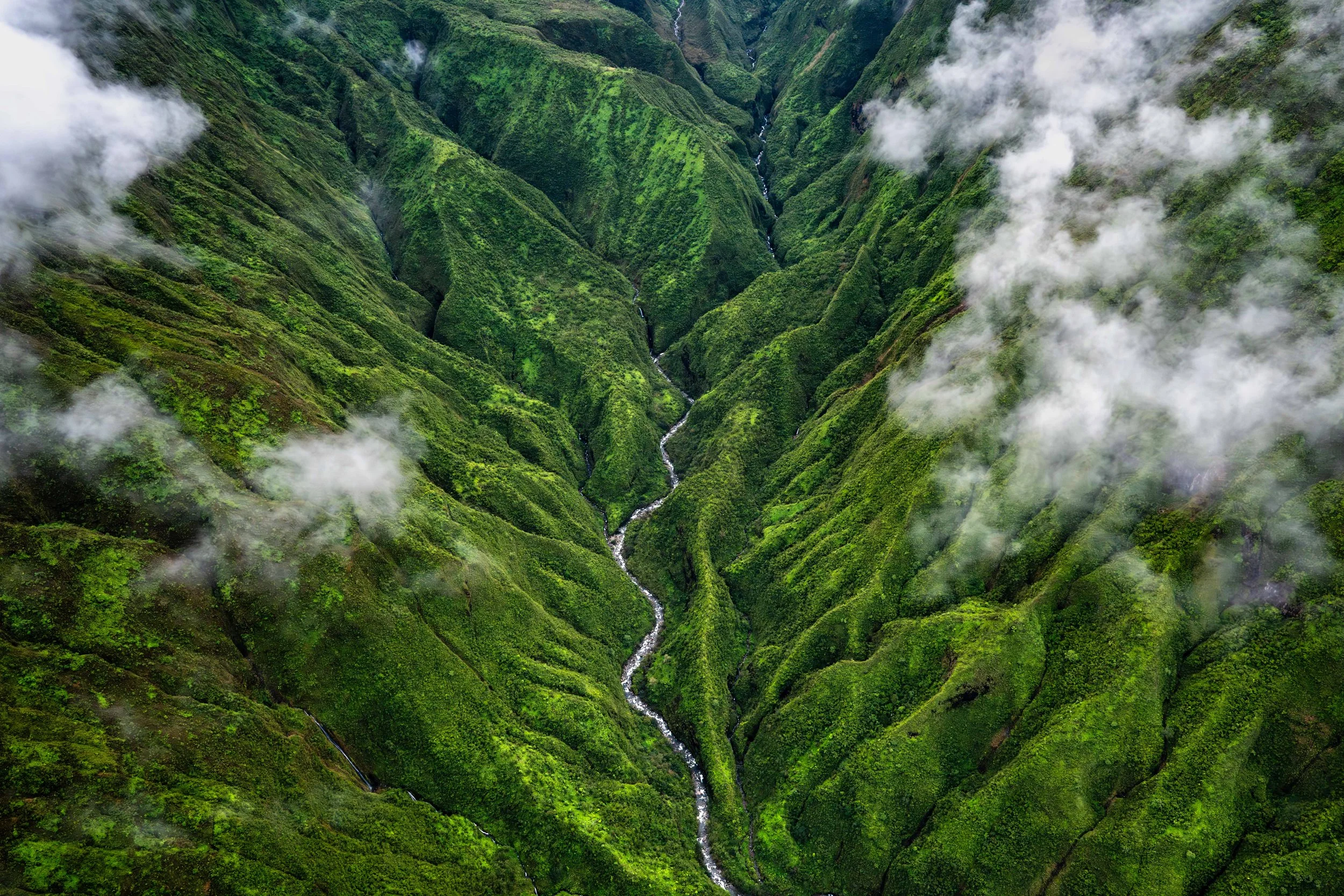 Waihee-Valley-Hawaii-Fine-Art-Aerial-Photograph-by-Cody-Roberts.JPG