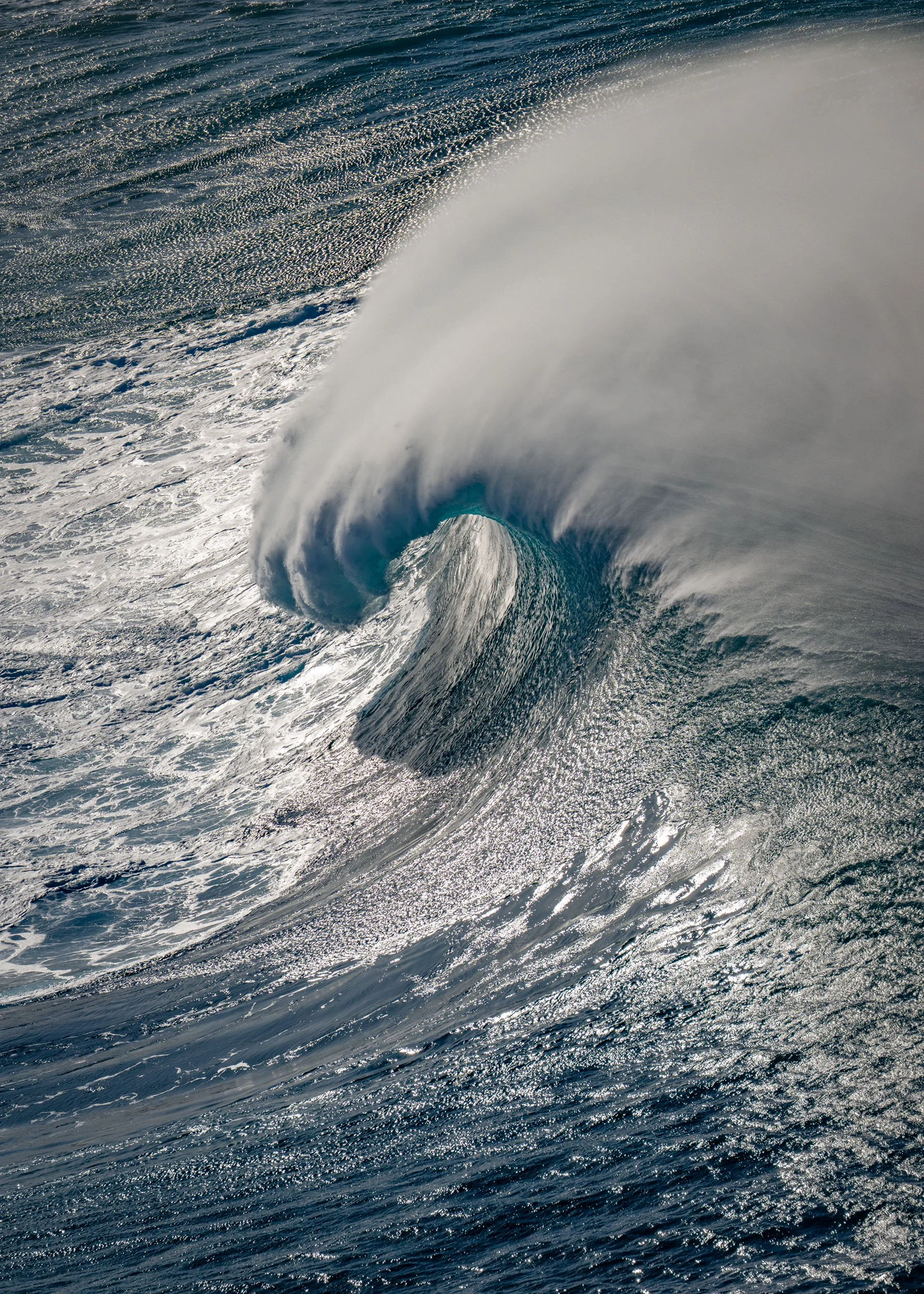 Lion Paw - Aerial Wave Art by Cody Roberts.jpg