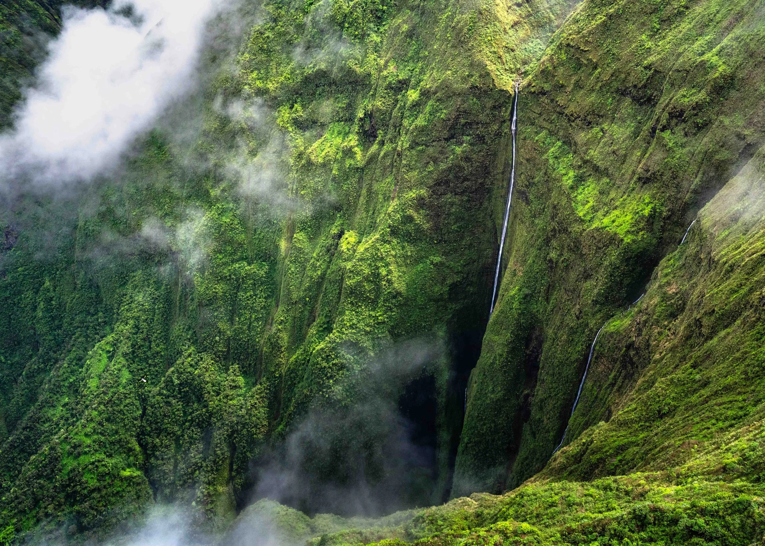 Mauna Kahalawai Watershed-5.jpg