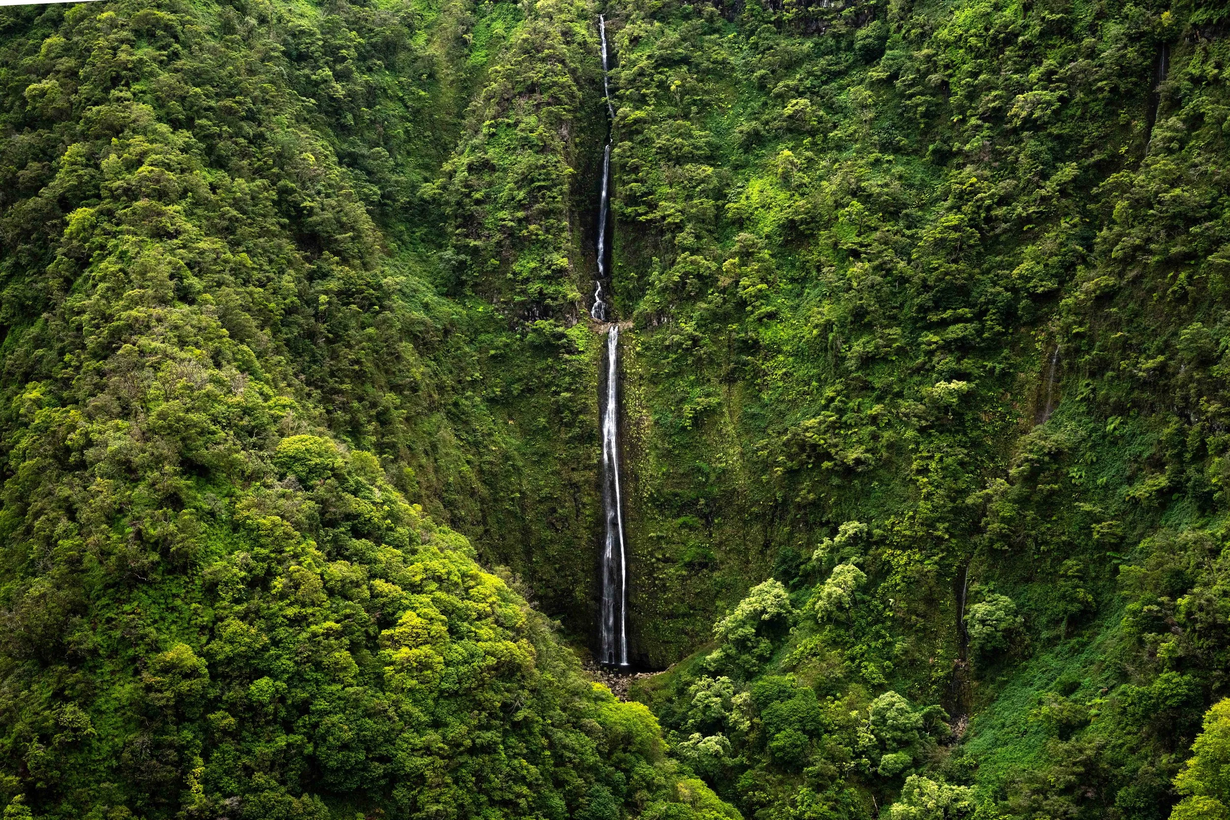 Mauna Kahalawai Watershed-4.jpg