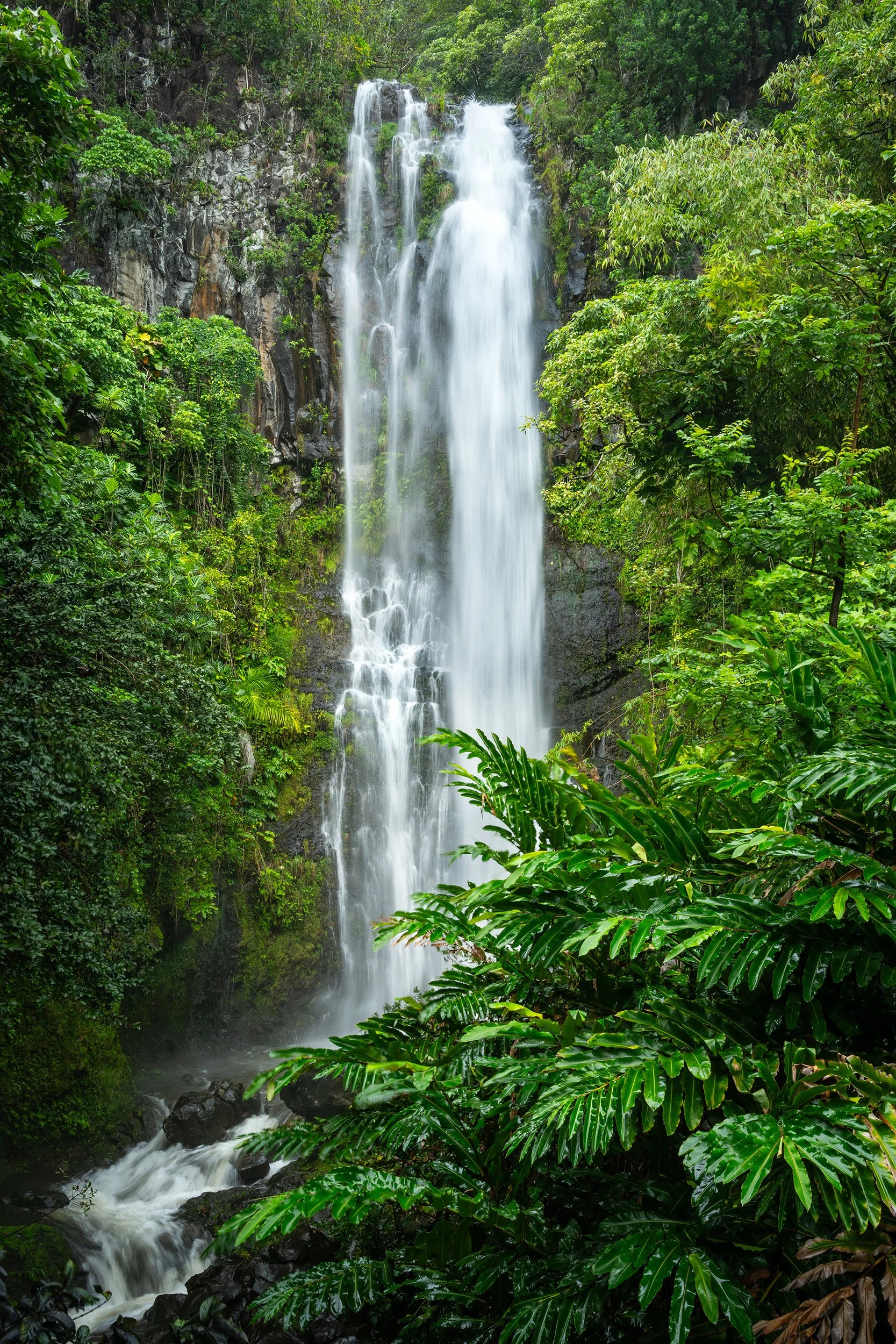Wailua Falls.jpg