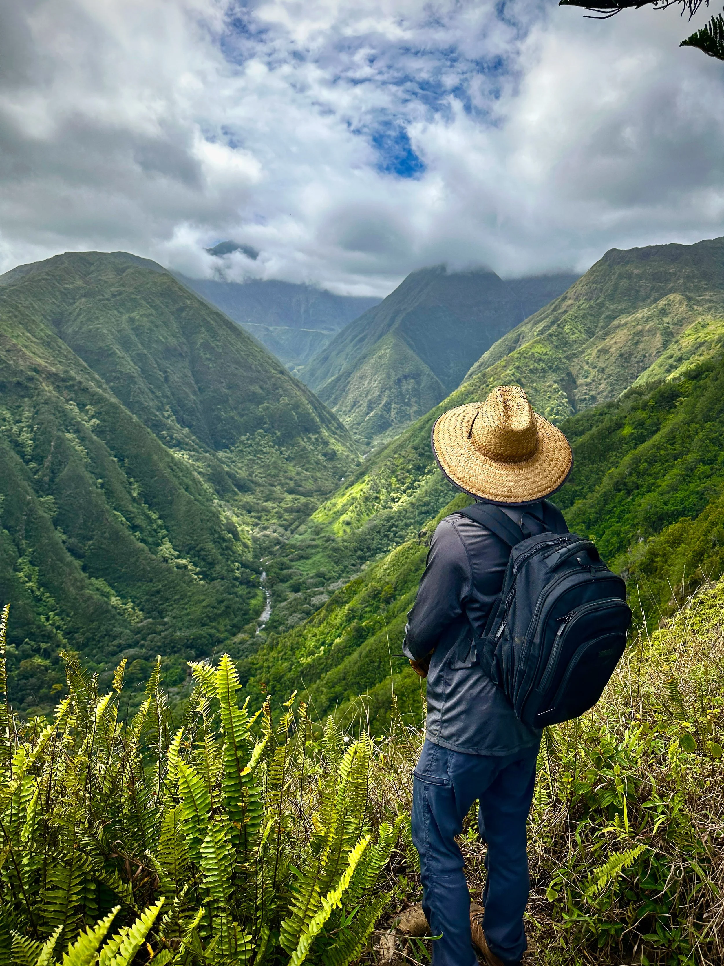 A person wearing a large wide-brimmed straw hat, a dark jacket, and blue pants, standing with their back to the camera, overlooking lush green mountains and a valley under a partly cloudy sky.