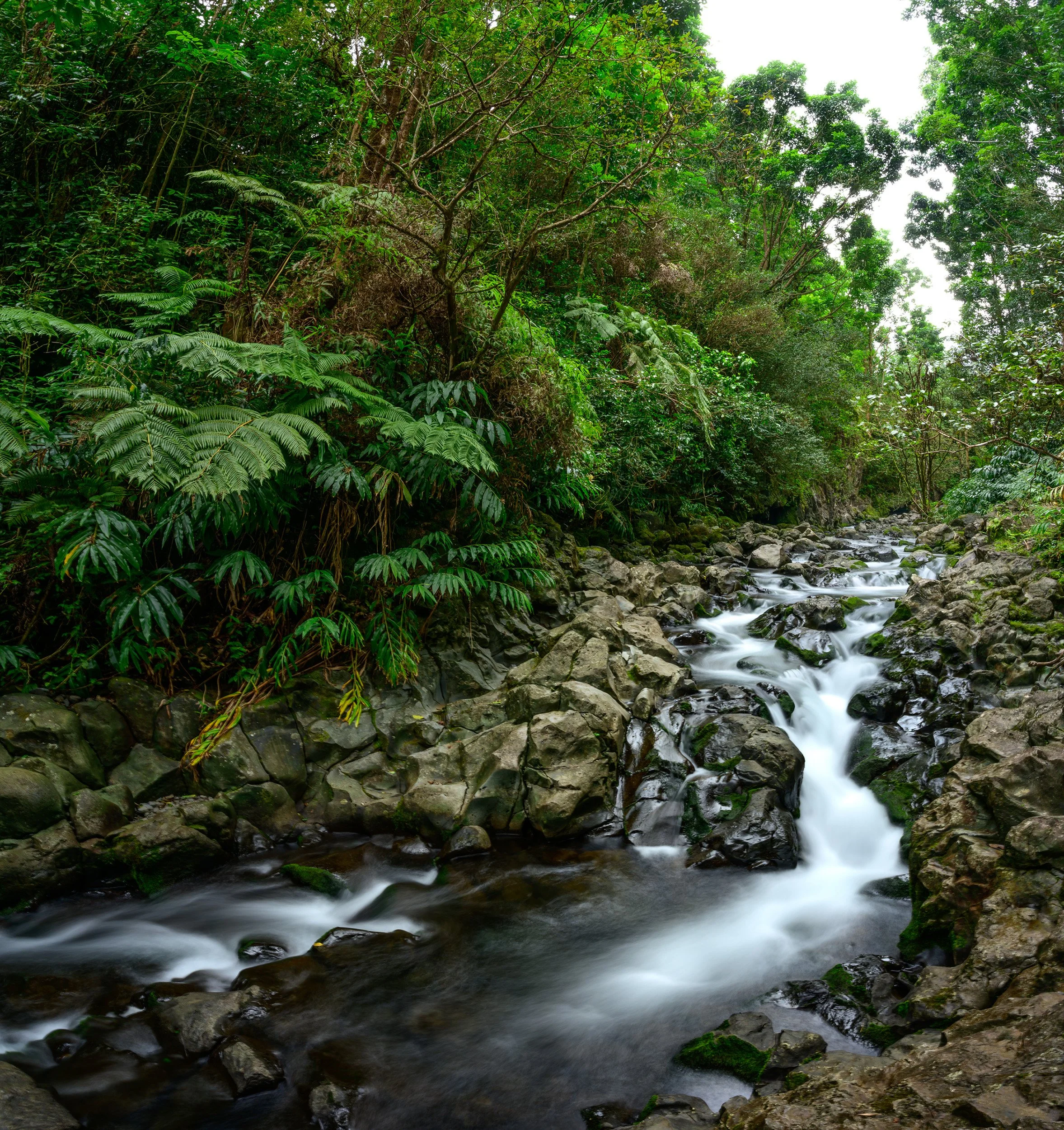 Makapipi Stream.jpg