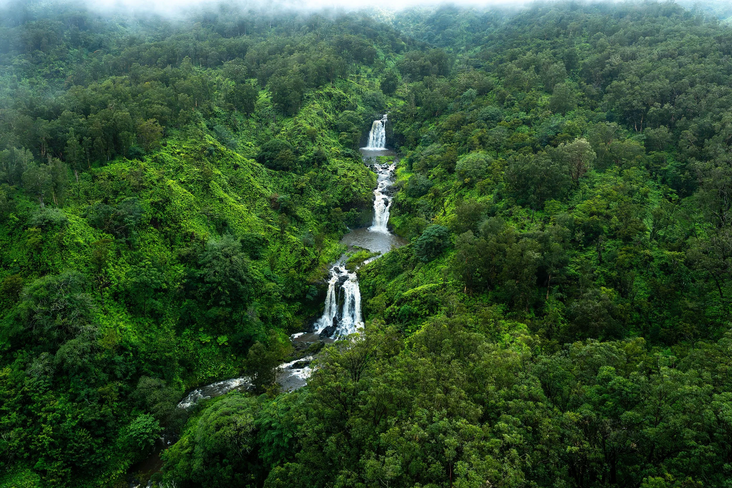 East-Maui-Waterfall-Aerial-Photography-Cody-Roberts.jpg