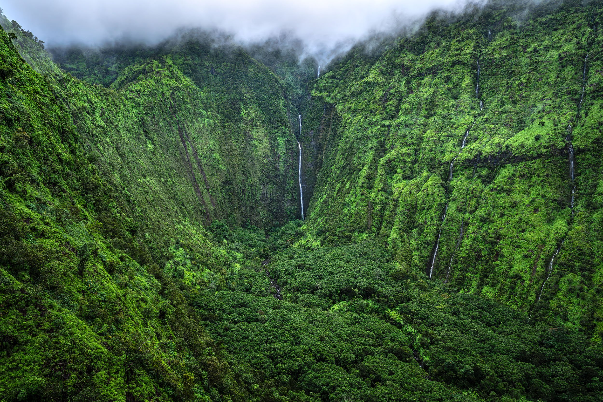 East-Maui-Watershed-Aerial-Photography-Cody-Roberts-Fine-Art.jpg