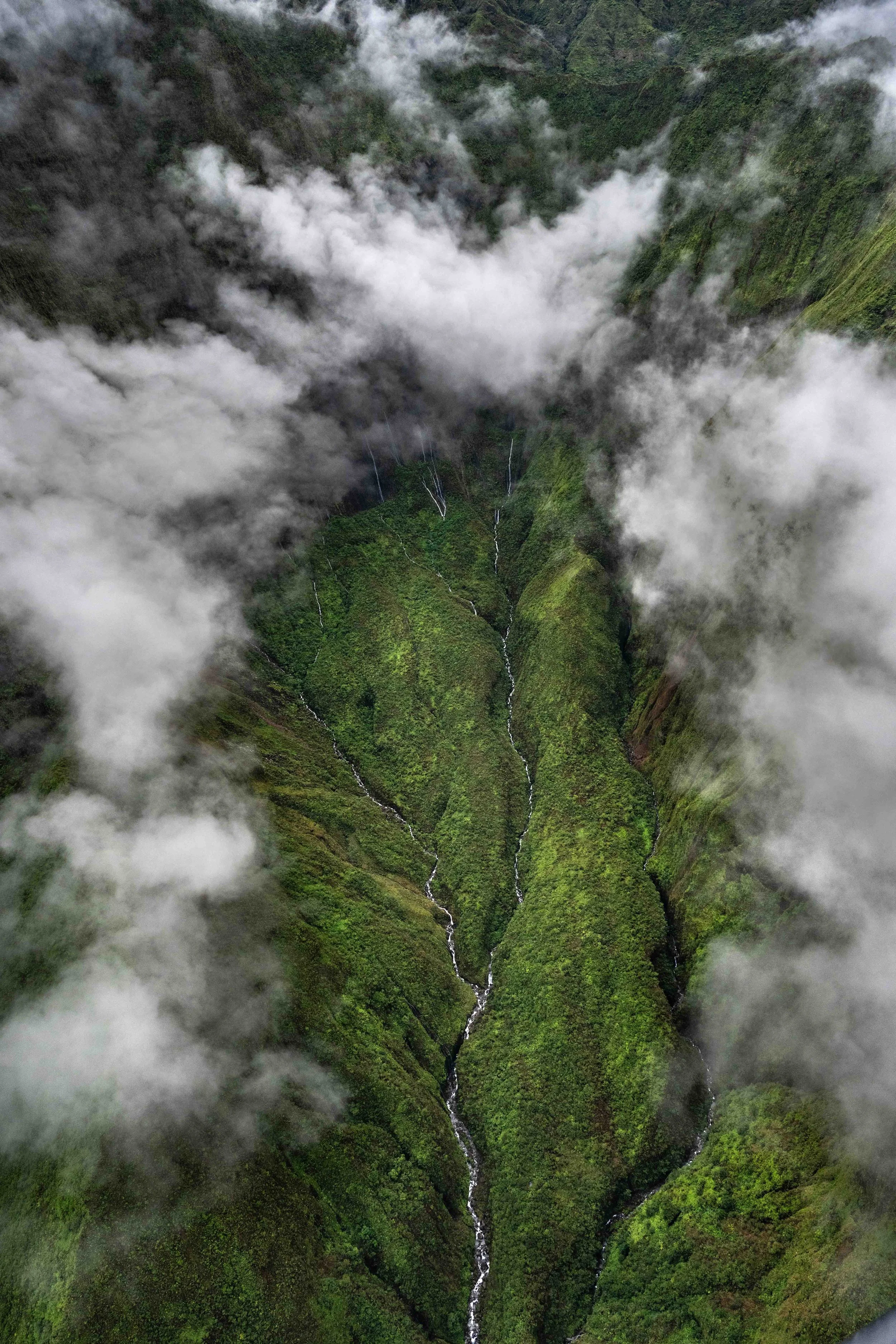 Mauna Kahalawai Watershed.jpg