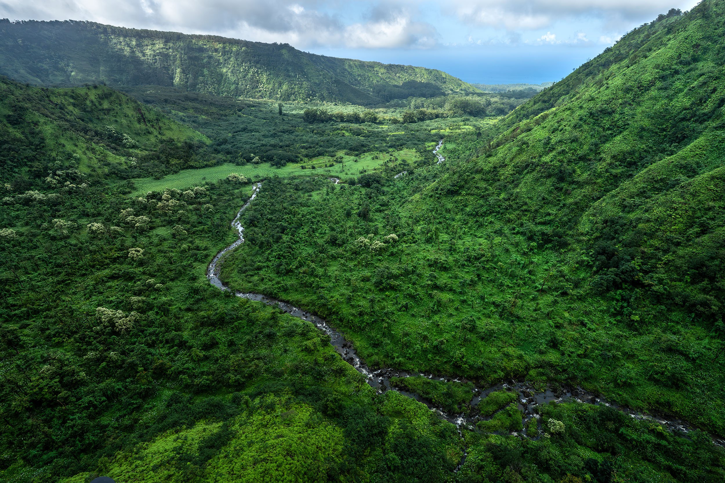 East-Maui-Valley-Stream-Aerial-Photography-by-Cody-Roberts.jpg