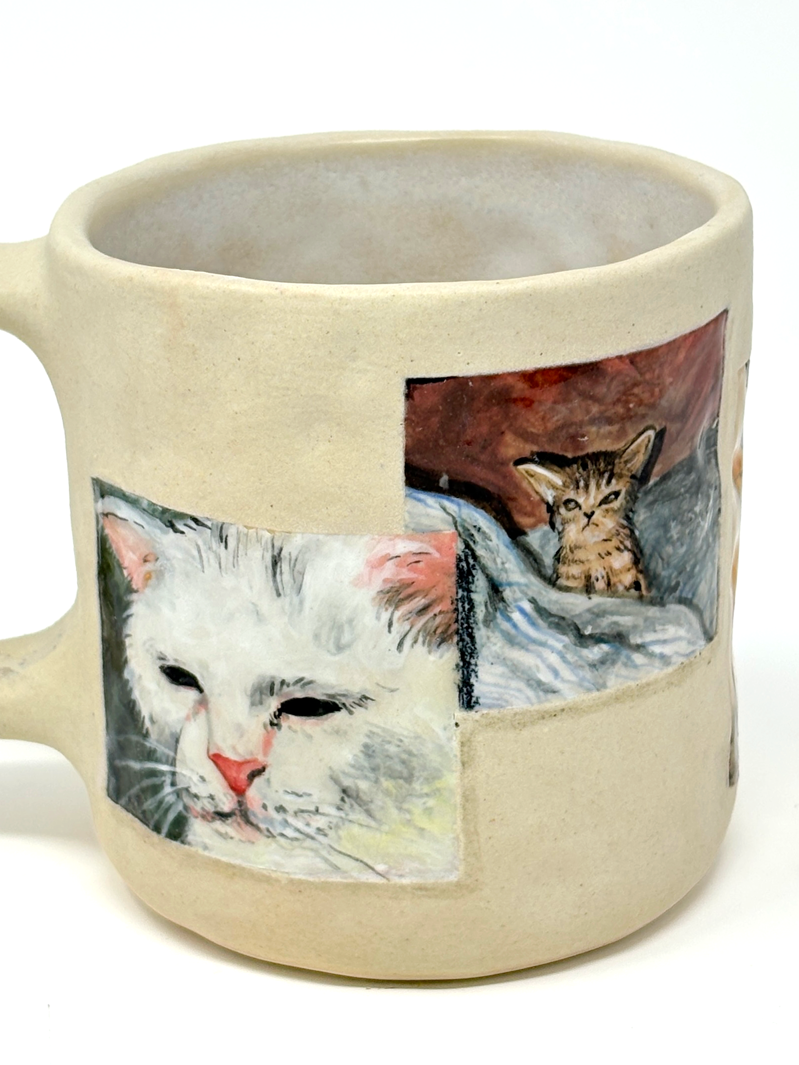 2cat1.png