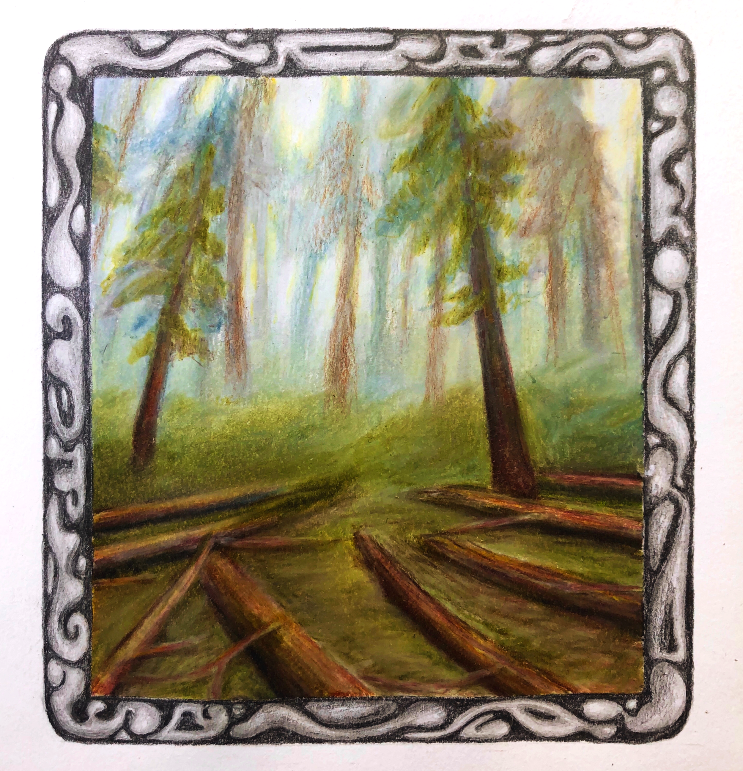 FramedWoods_Kammerer+copy.png