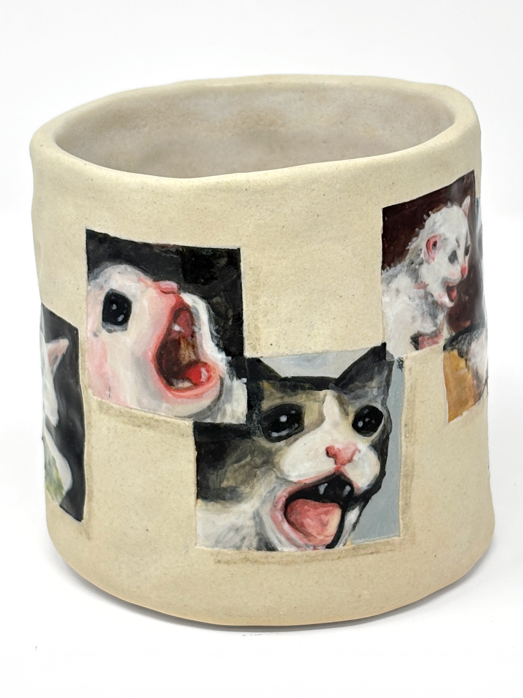 cat2.png