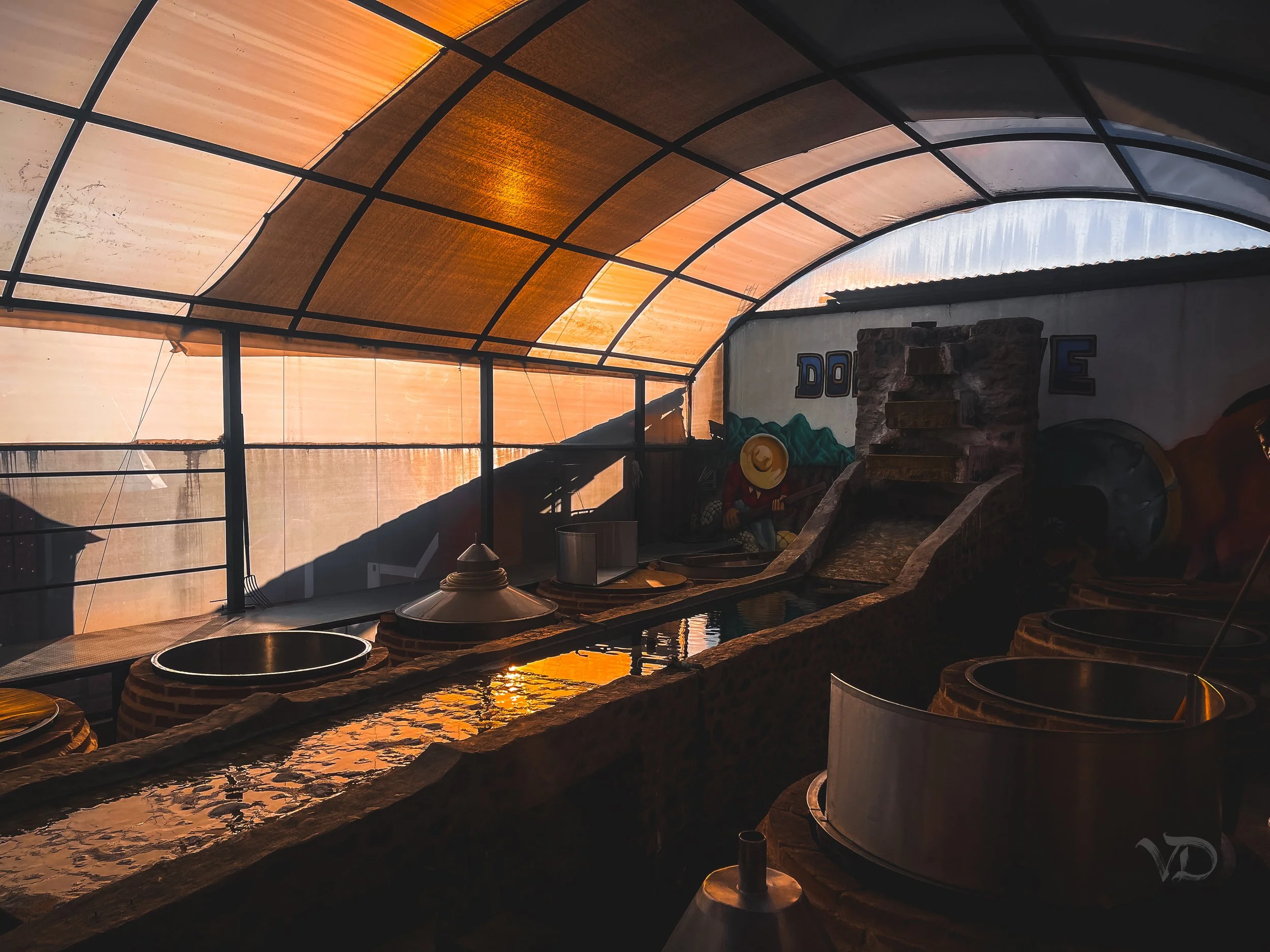 Indoor water park with a slide leading into a pool, featuring a mural of a cowboy and the word 'Dixie' on the wall, and a curved, orange-tinted roof.