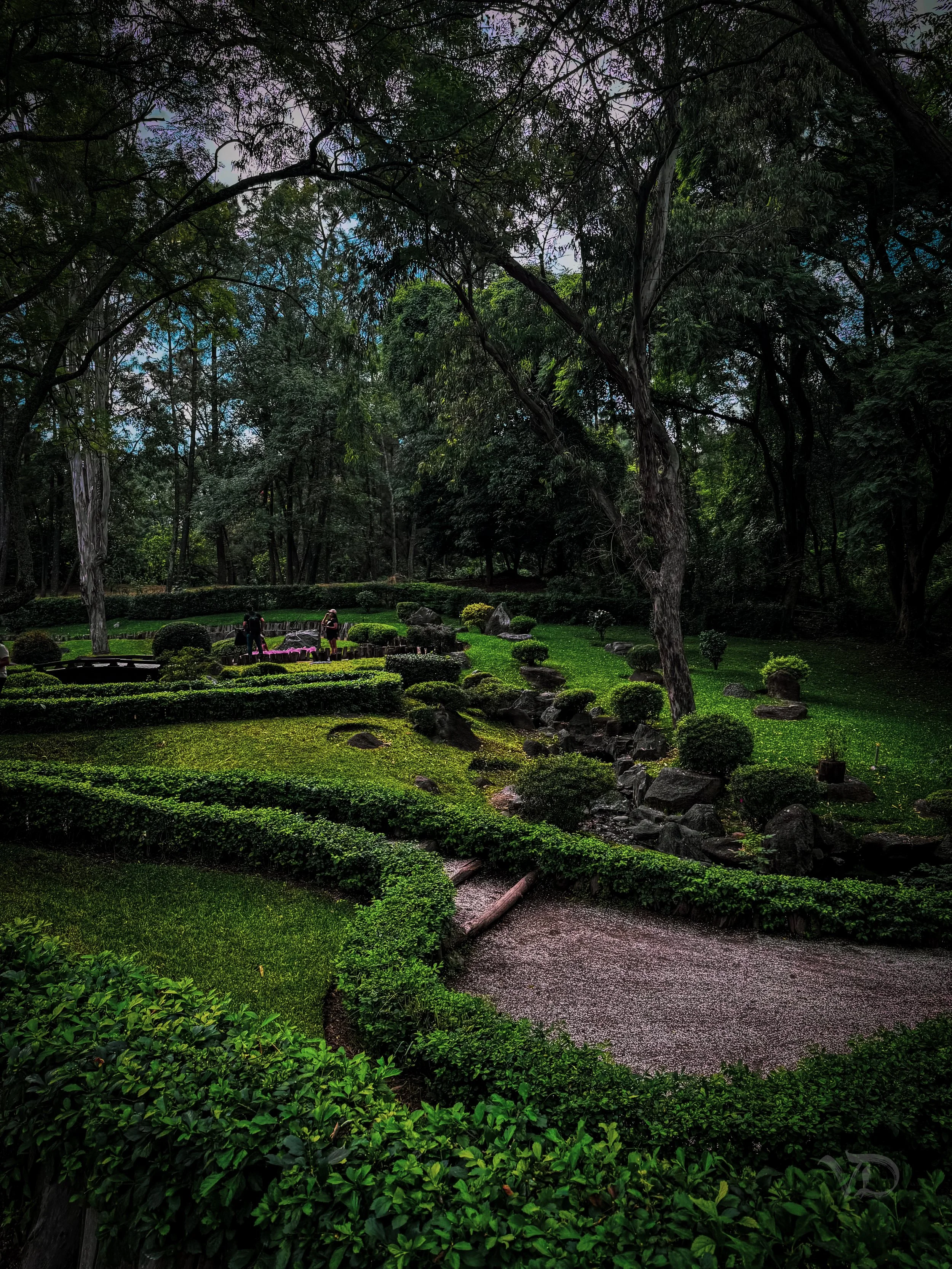 A lush garden with neatly trimmed bushes and trees, a winding gravel path, and a group of people near a table under a large tree, surrounded by dense forest.