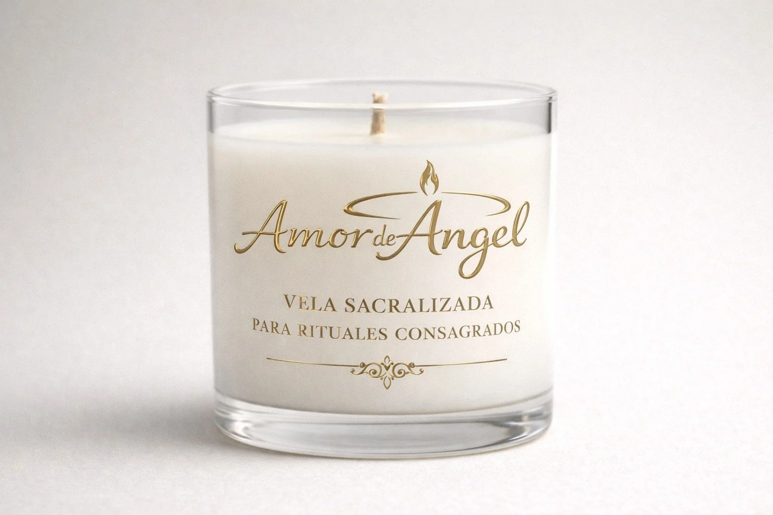 WhatsApp Image 2026-02-13 at 11.33.10 AM.jpeg