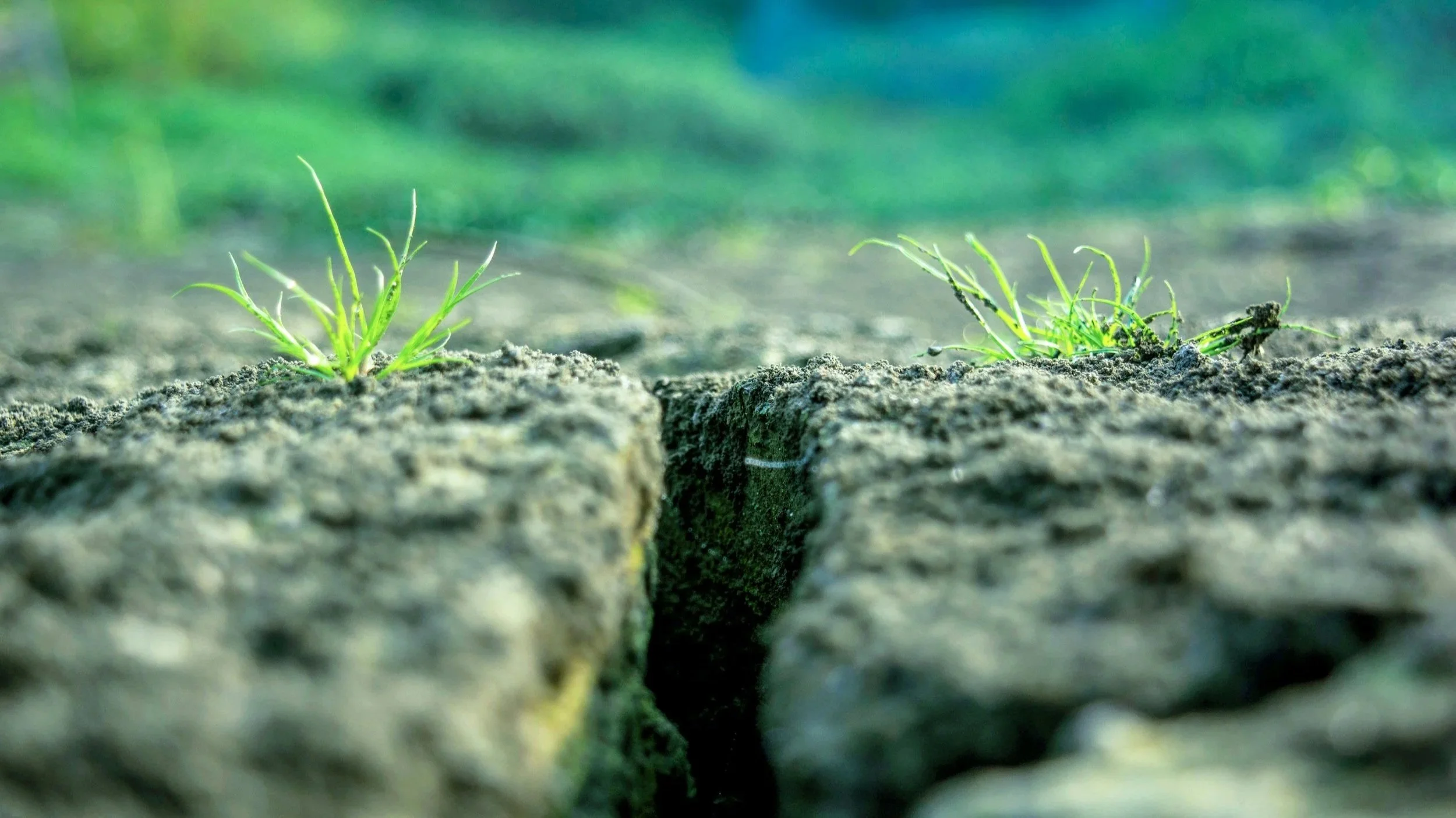 Examining the Soil: Finding Fertile Ground for a Church Plant