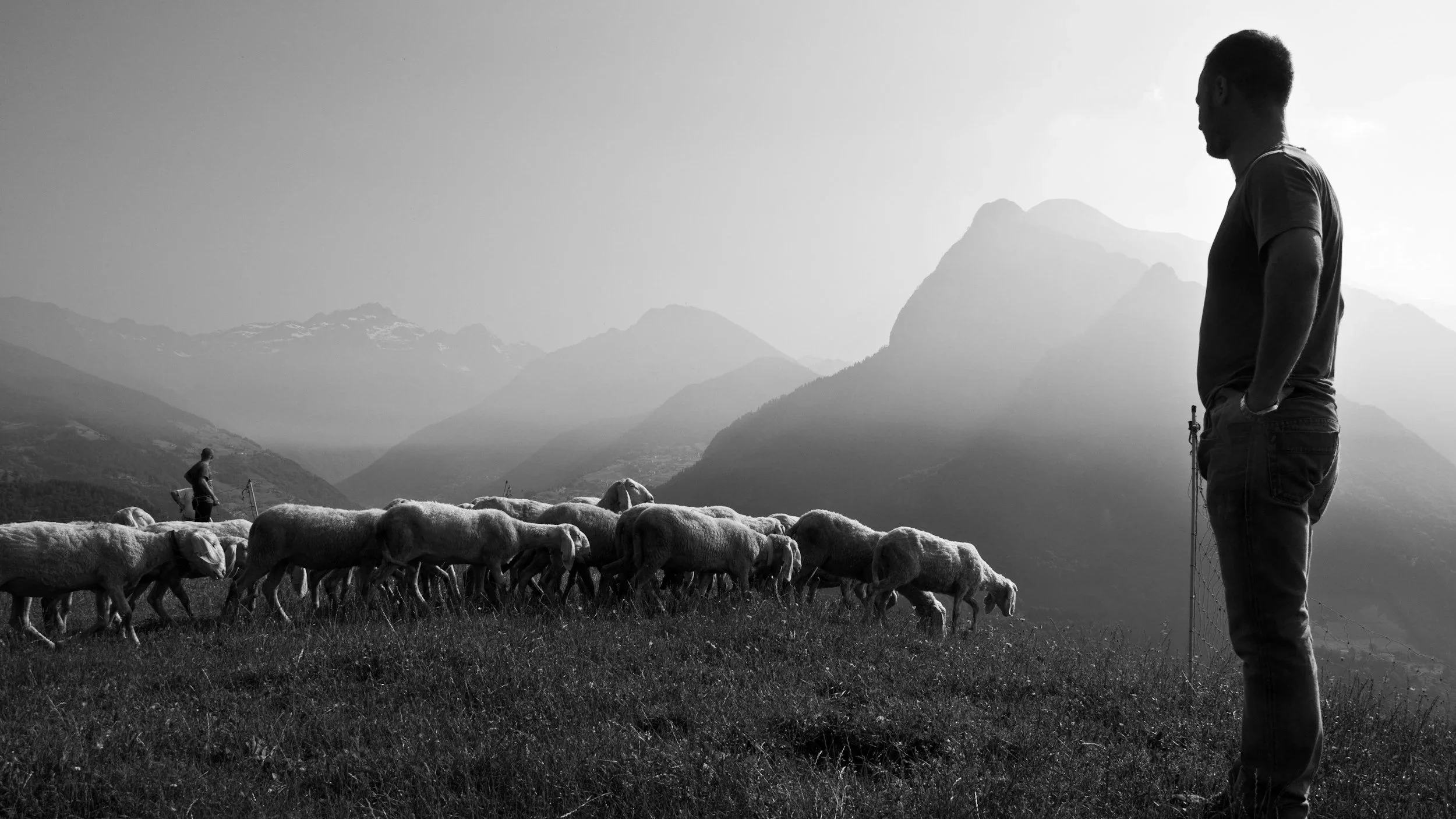 Shepherding with Integrity: A Covenant for Church Planting Pastors and Elders