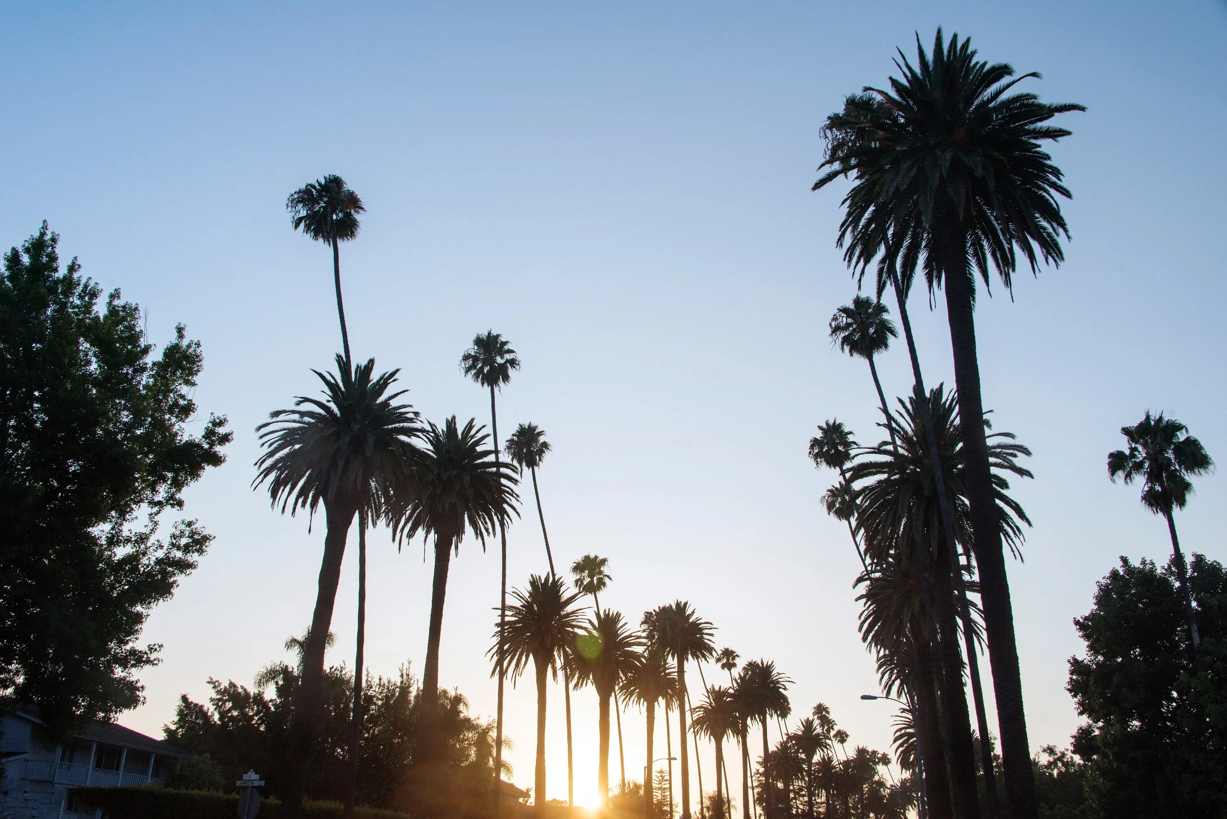 Finding Home in West Hollywood: What Makes This Neighborhood So Magnetic