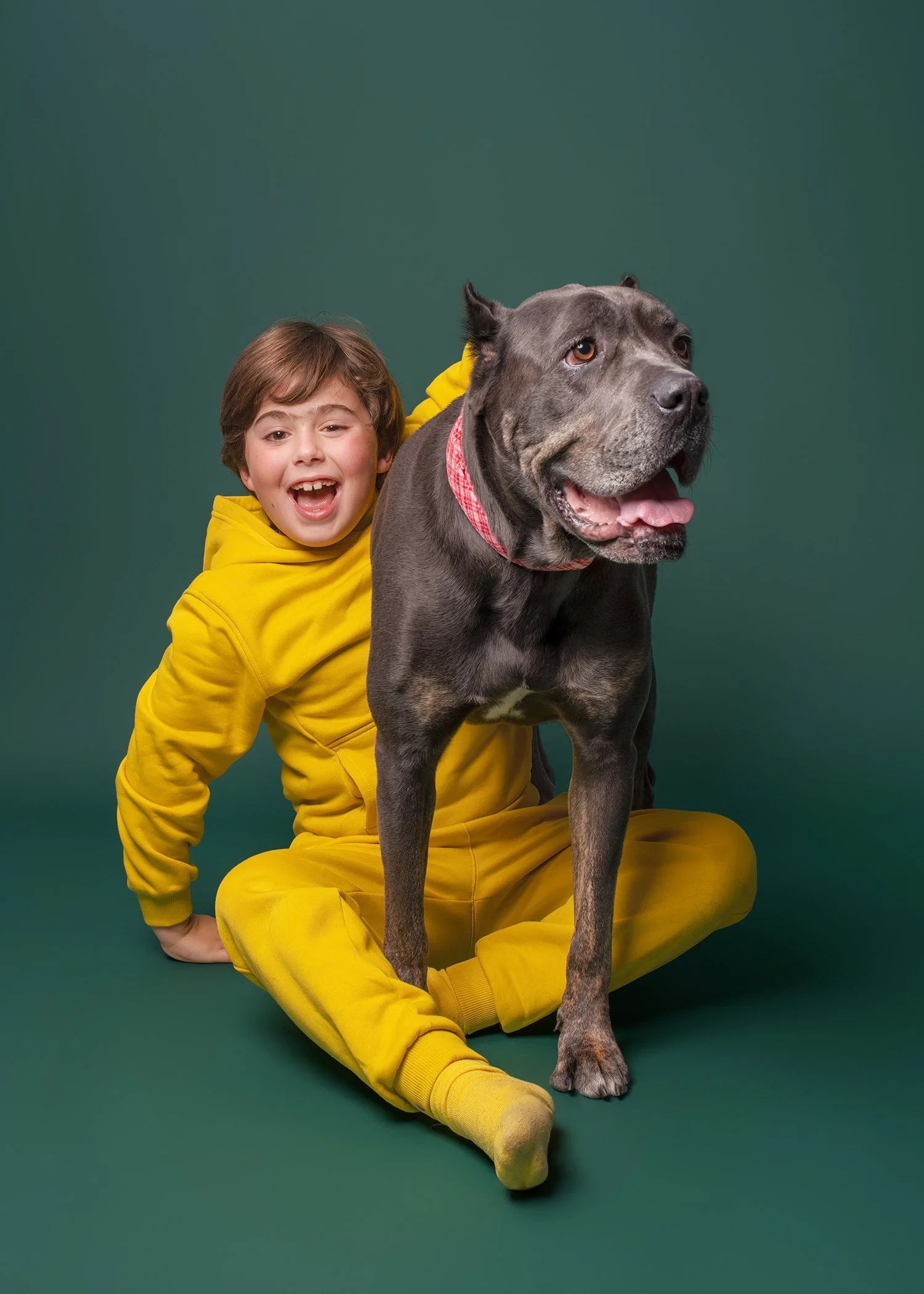 A smiling boy in a yellow outfit sitting on the floor of a green backdrop with his cane corso dog standing next to him