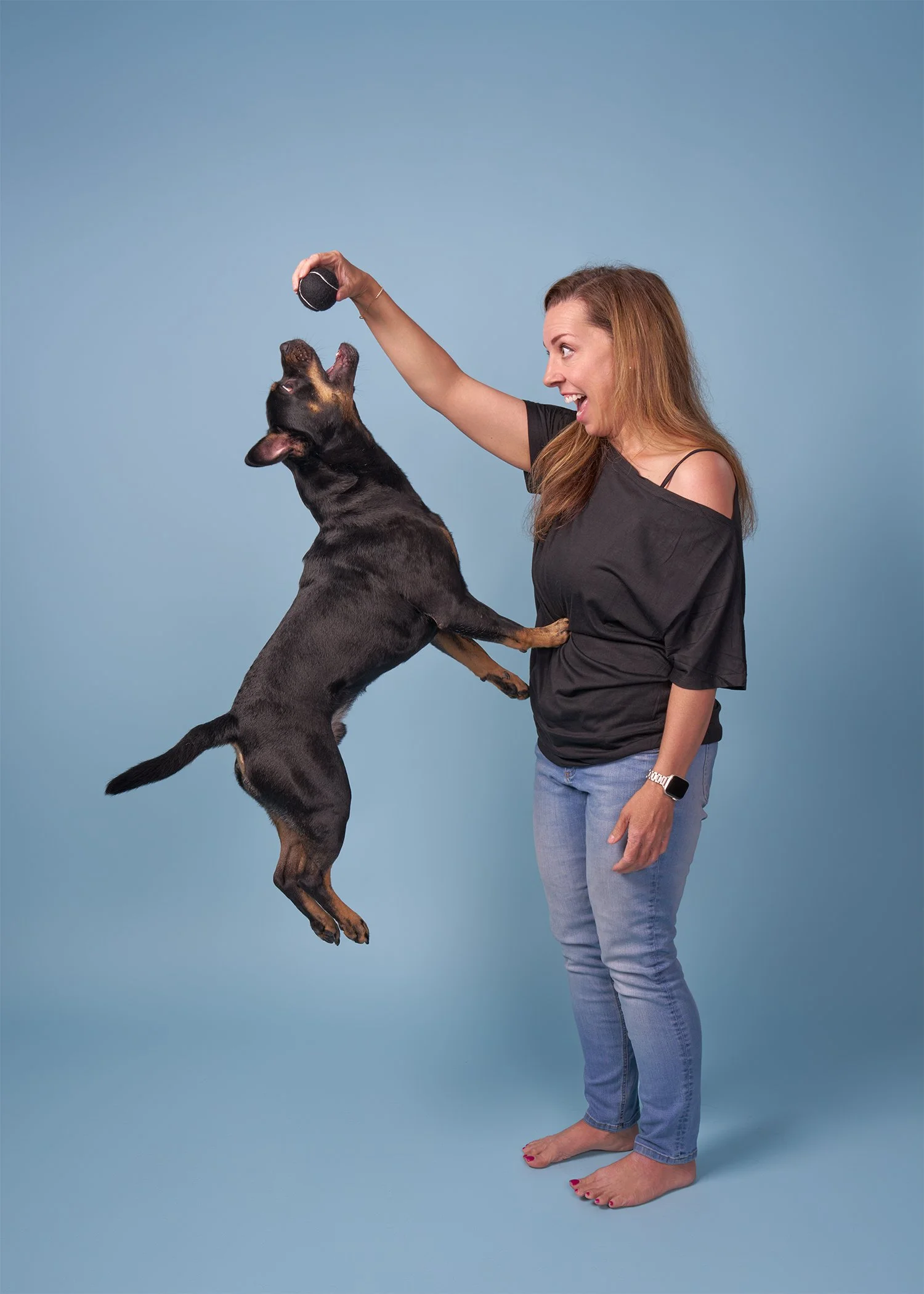 Energetic rottweiler dog jumping in the air toward a woman holding a tennis ball against a blue background in LA pet portrait studio
