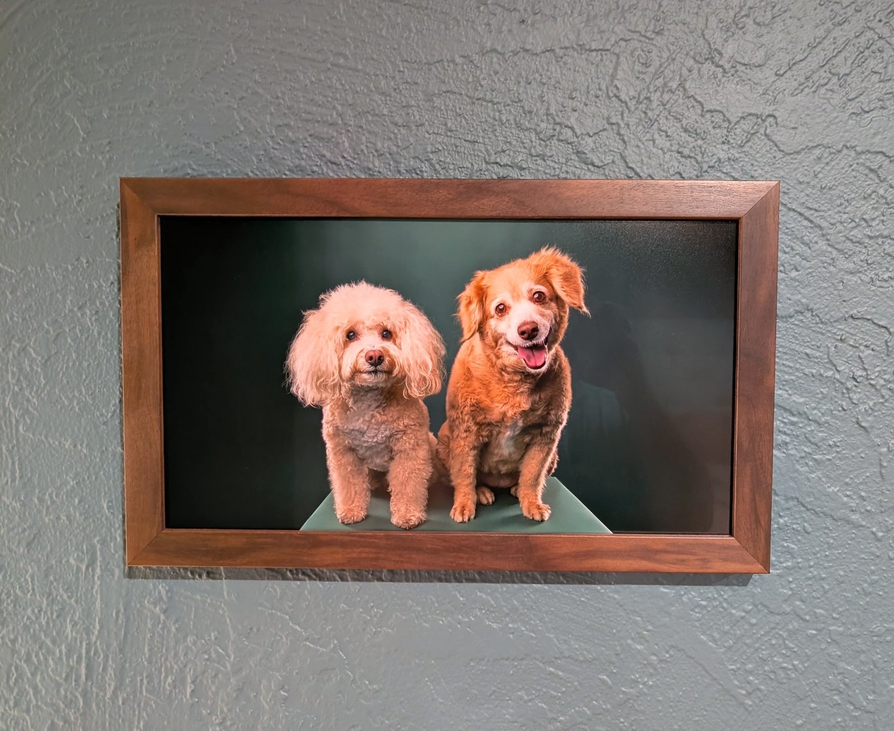 framed-pet-portraits-los-angeles-recue-dogs-mochi-artie2.JPG