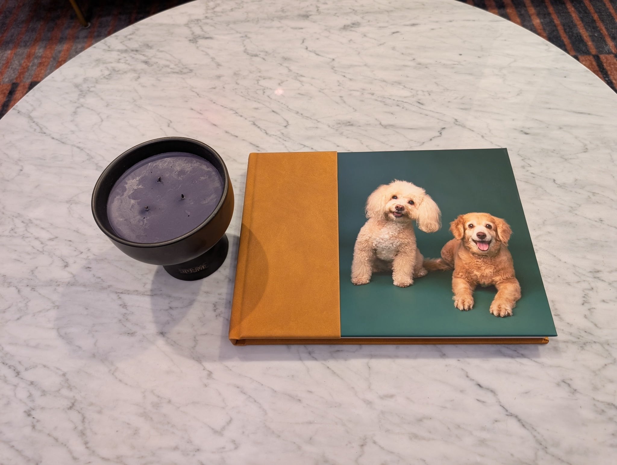 pet-portrait-photo-album-los-angeles-mochi-artie2.JPG