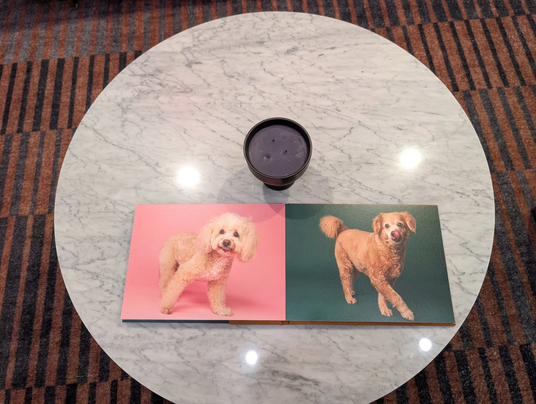 pet-portrait-photo-album-los-angeles-mochi-artie.JPG