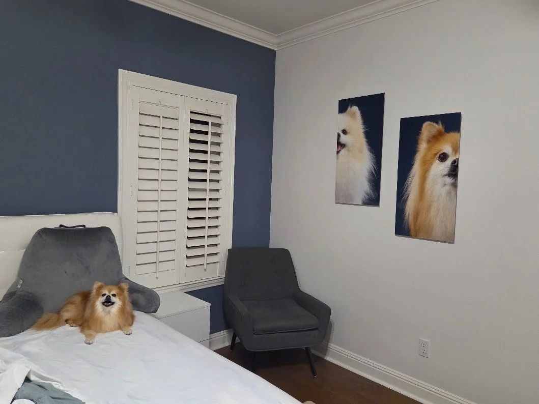 Photo of Los Angles bedroom with two dog portraits on the wall