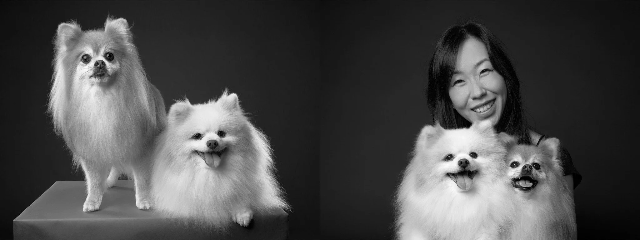 Black and white Shuttermutt Photo portraits of two smiling, senior Pomeranian dogs and their human, a smiling woman.