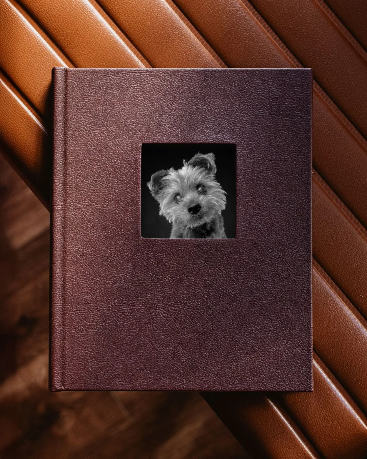 Burgundy leather photo album with a black and white portrait of a senior yorkie dog on the cover in LA