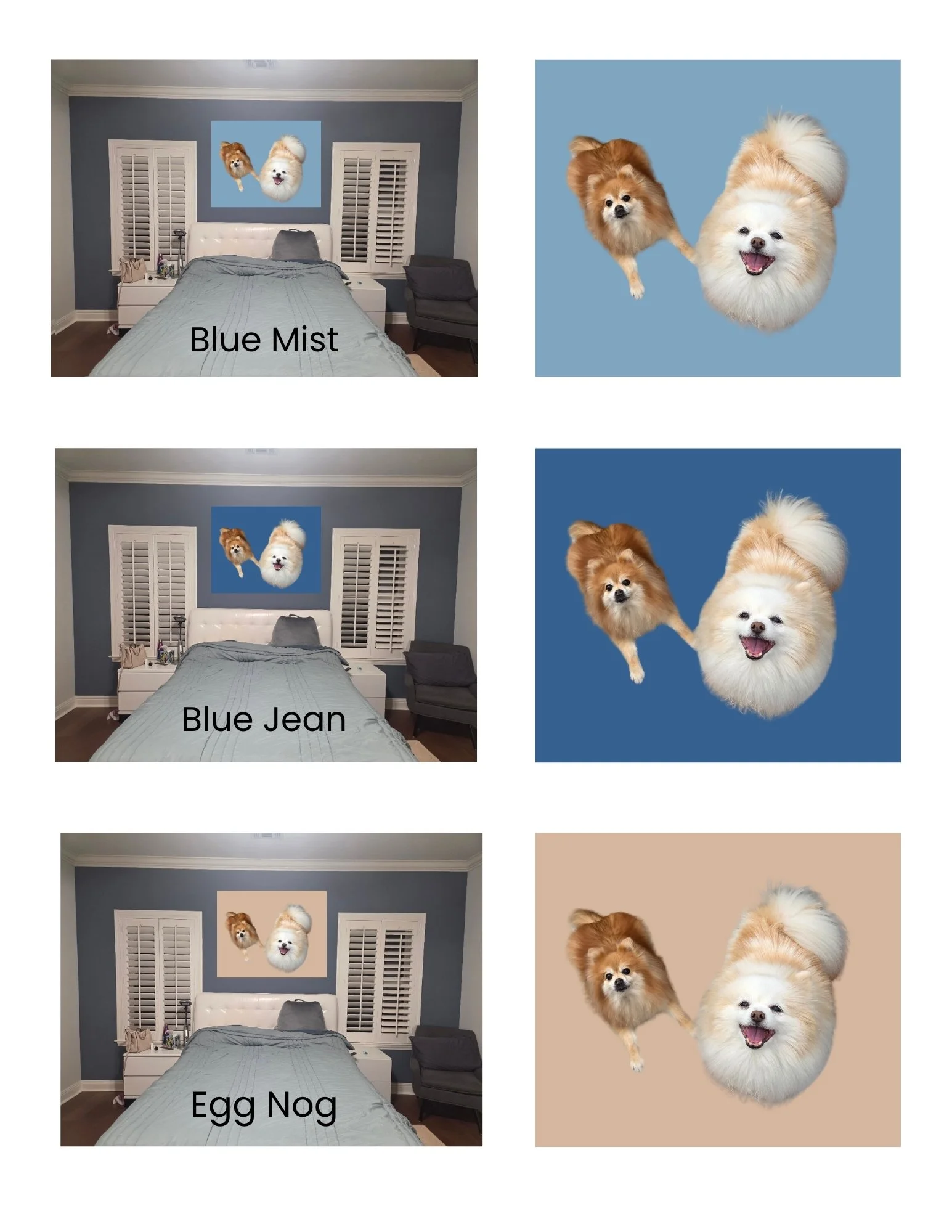 Mockups of how two Pomeranians might look on three different background colors during their Los Angeles pet photo session.