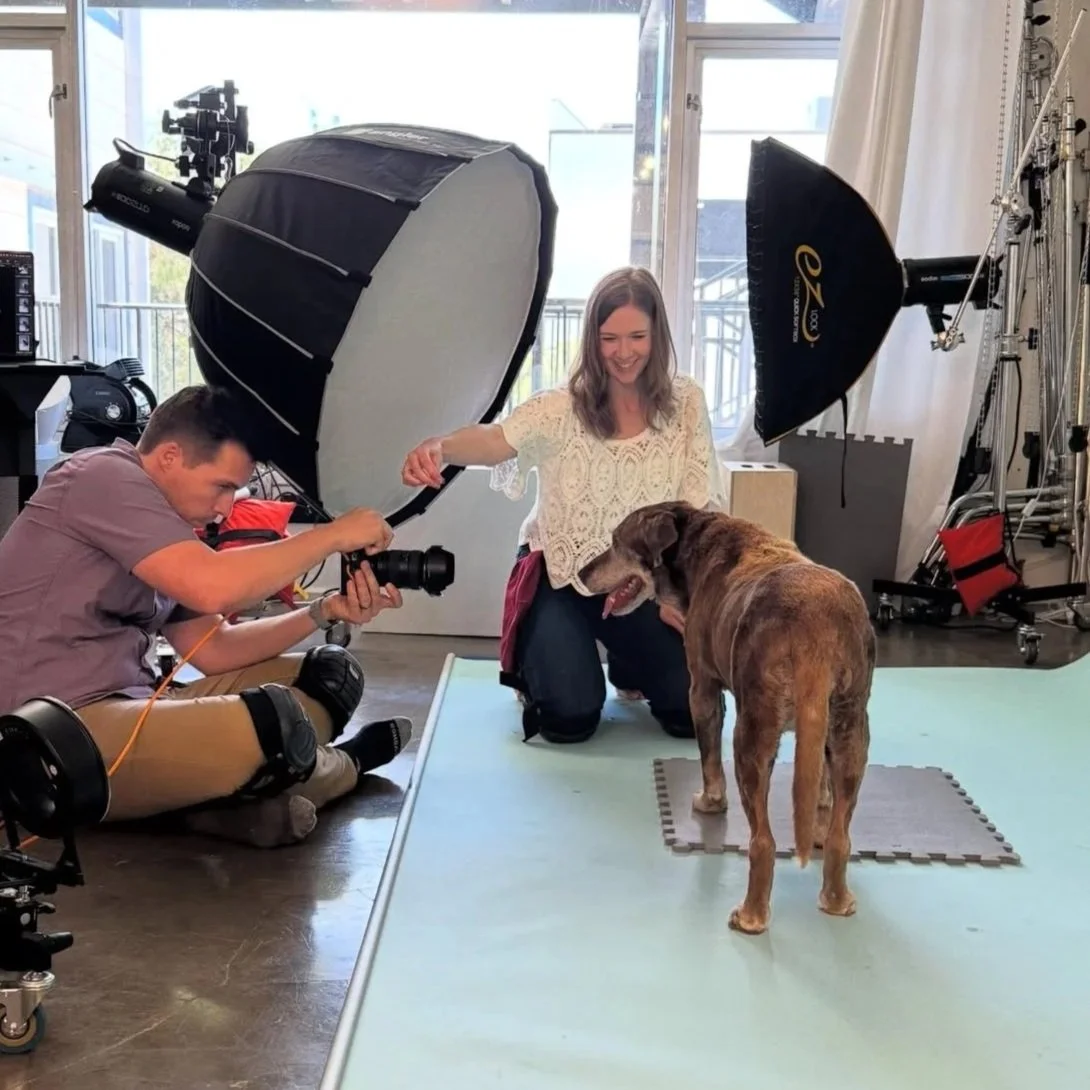 Photographers Adam and Laura Claus taking photos of senior rescue dog in Los Angeles pet portrait studio Shuttermutt Photo