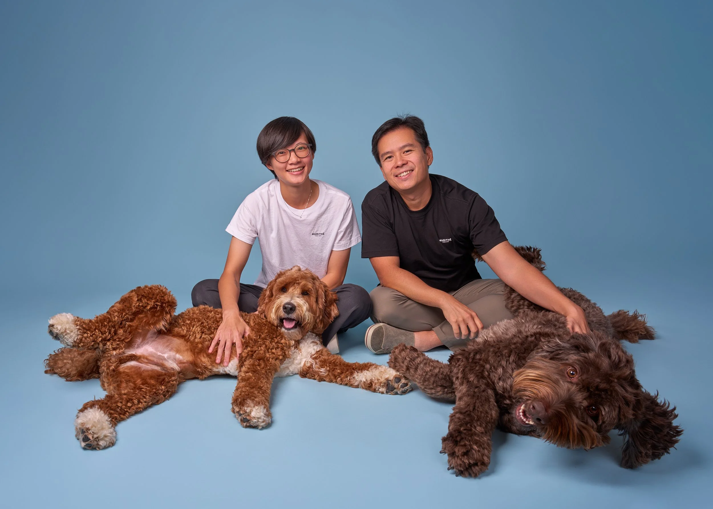 Funny family portrait of a man, woman, and their two Australian Labradoodles on a blue studio background in LA