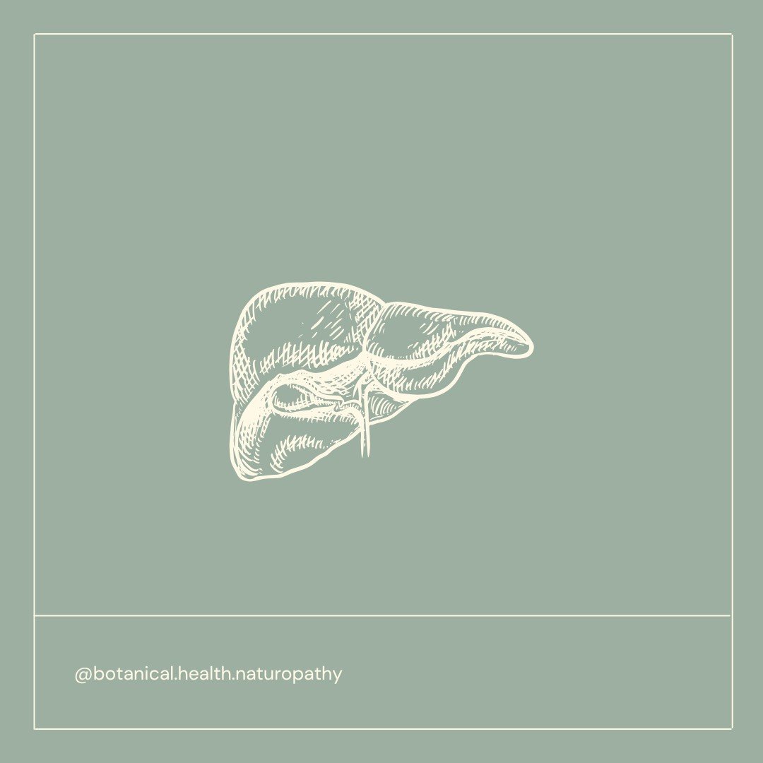 Welcome to my series: "So, you're taking a probiotic but your gut health still isn't quite right..."

This could be related to what we call in the naturopathic world a 'sluggish' liver,  characterised by reduced production or excretion of b