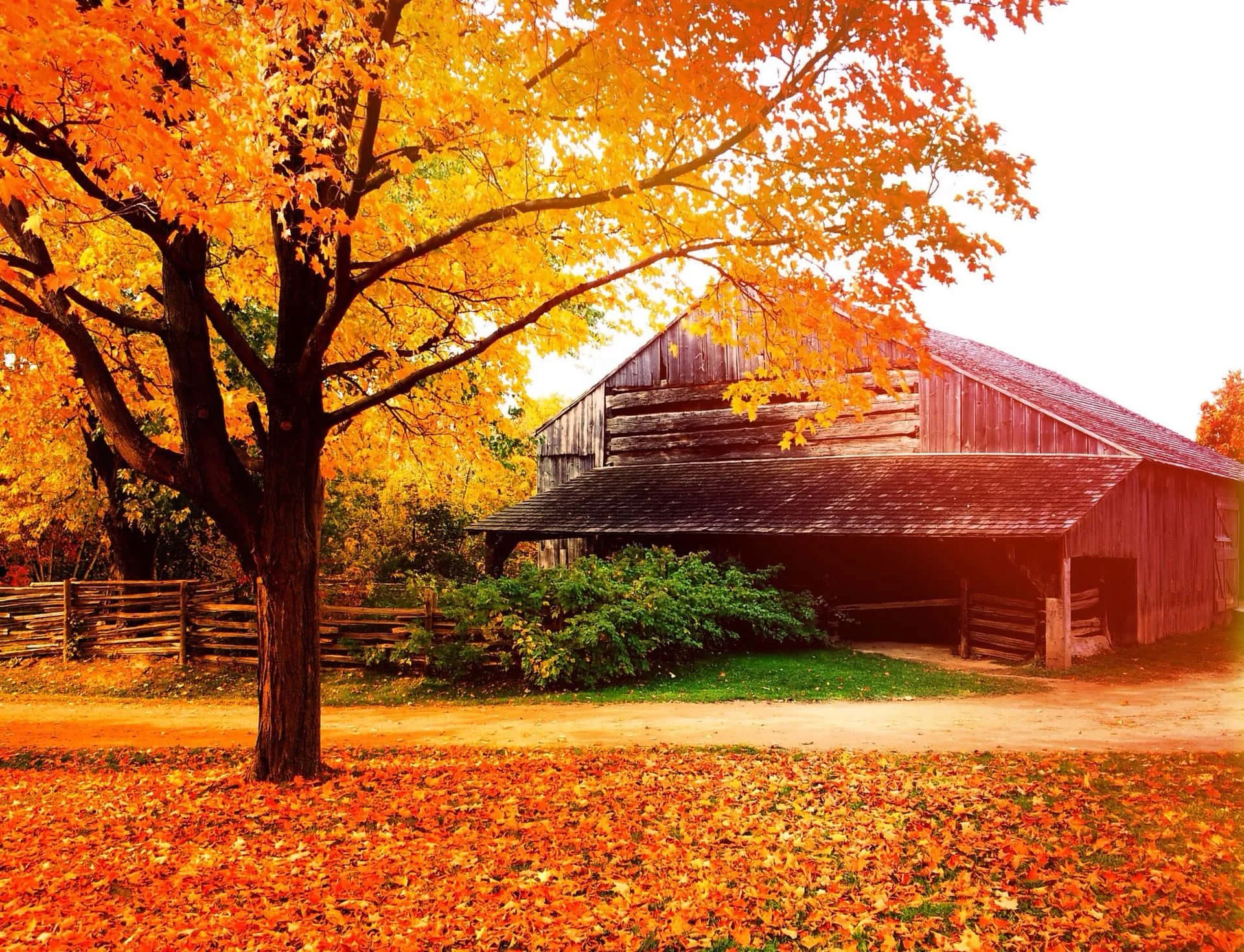 Reflections on Thanksgiving: Lessons in gratitude, honesty, and the commitment to future progress for BioPharma.