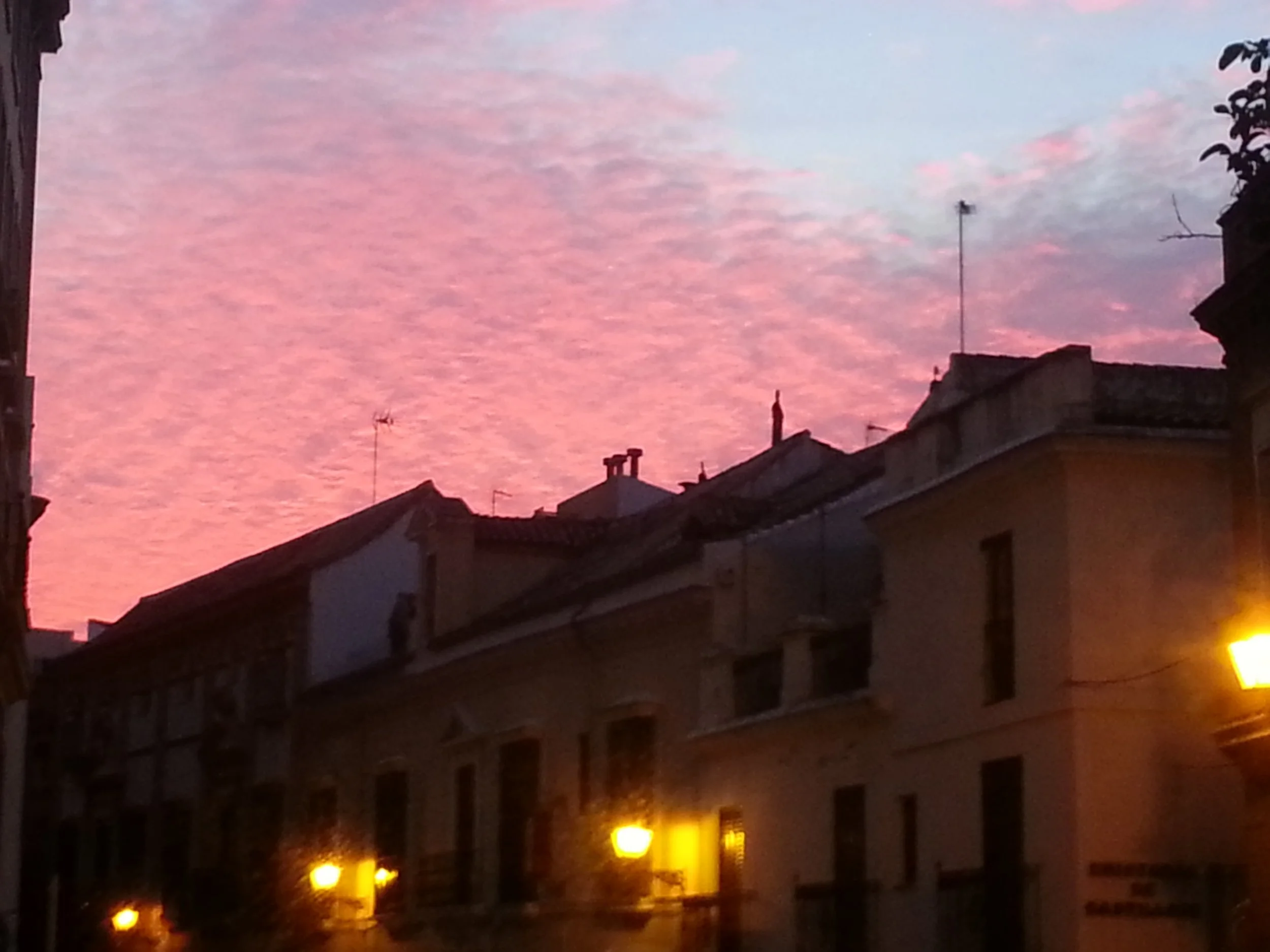 Sunset sky with pink and blue clouds over a cityscape with buildings and street lamps.