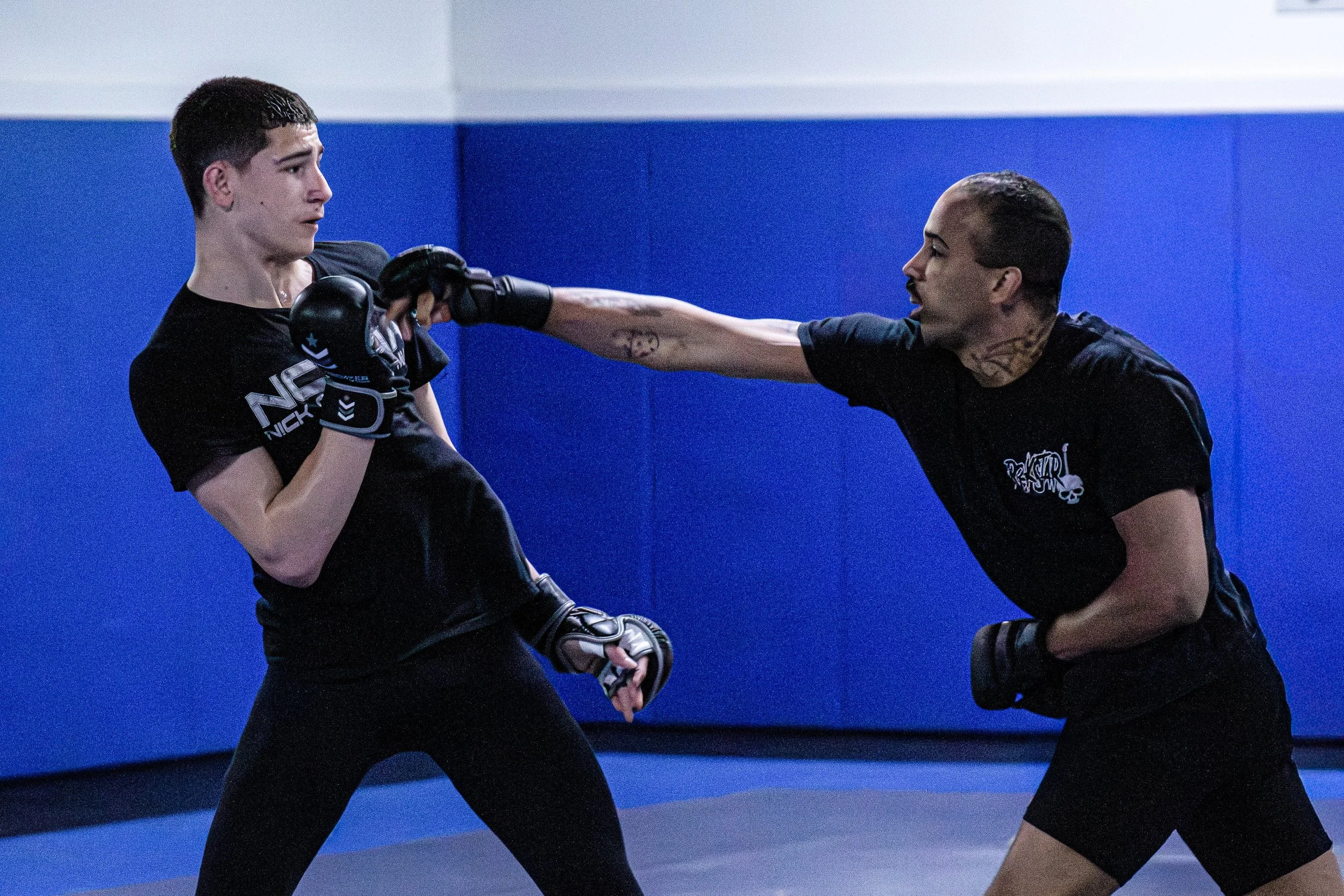NCMMA Website (15 of 44).jpg