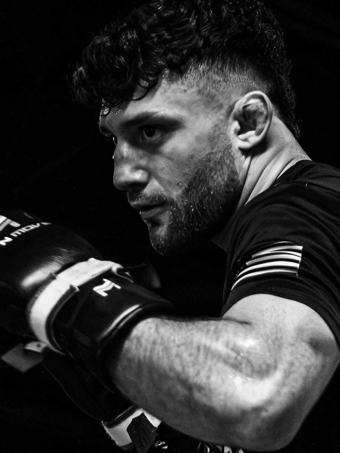 NCMMA Website (32 of 44).jpg