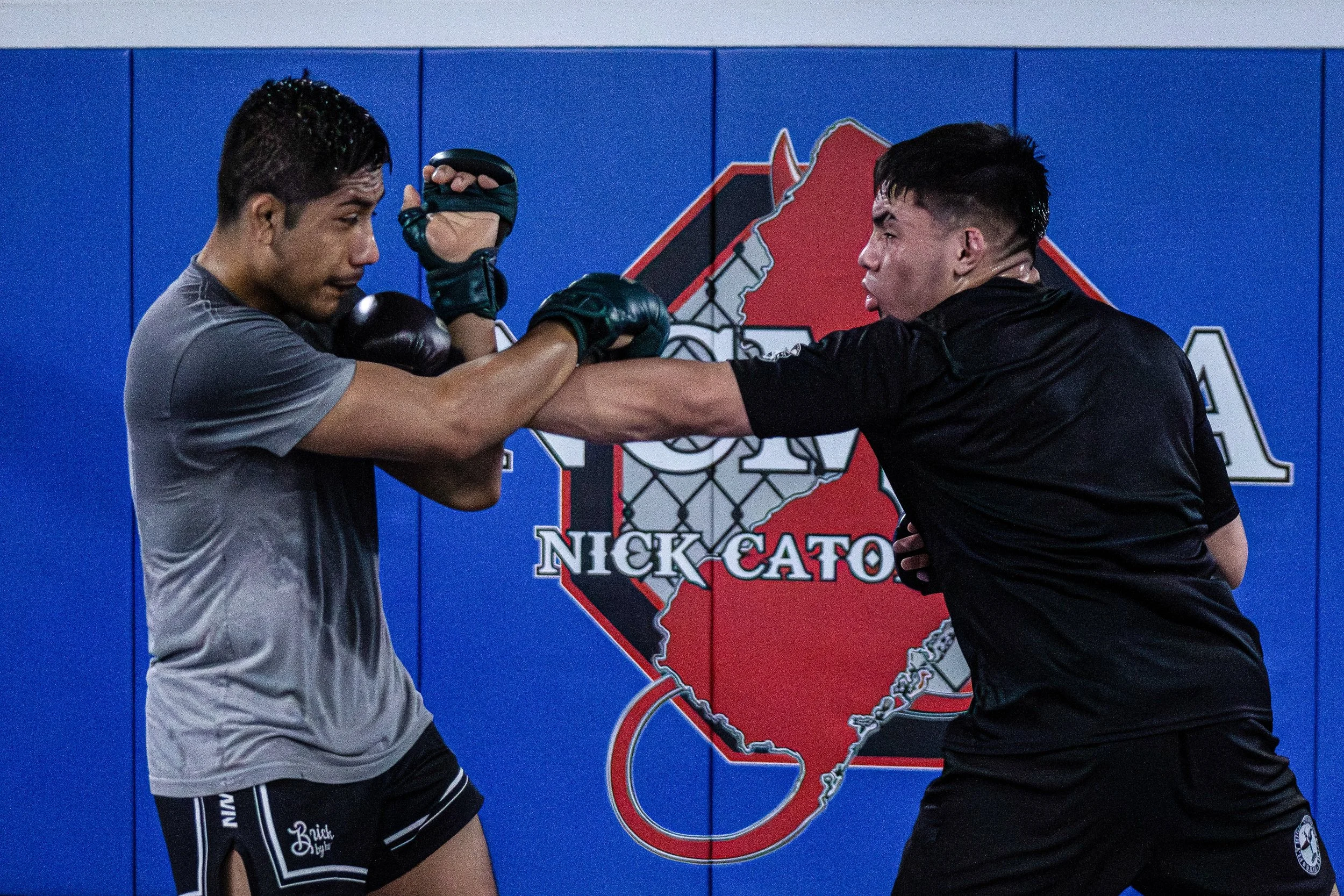 NCMMA Website (25 of 44).jpg