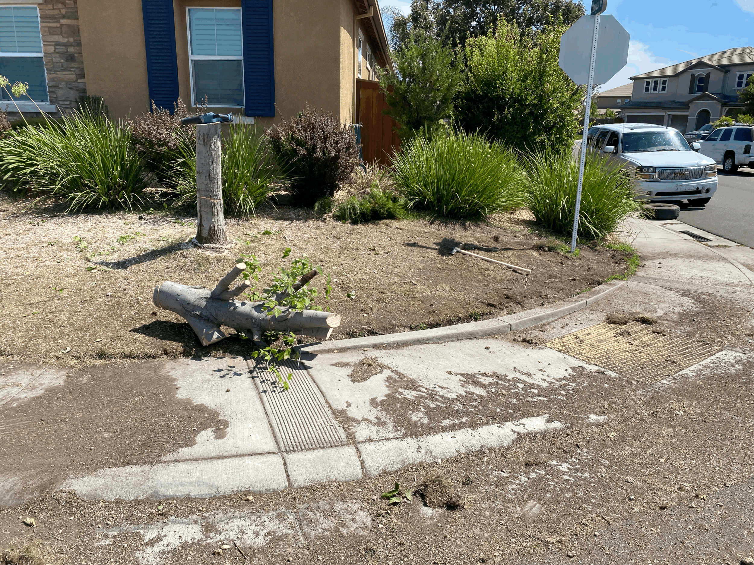 Tree Removal