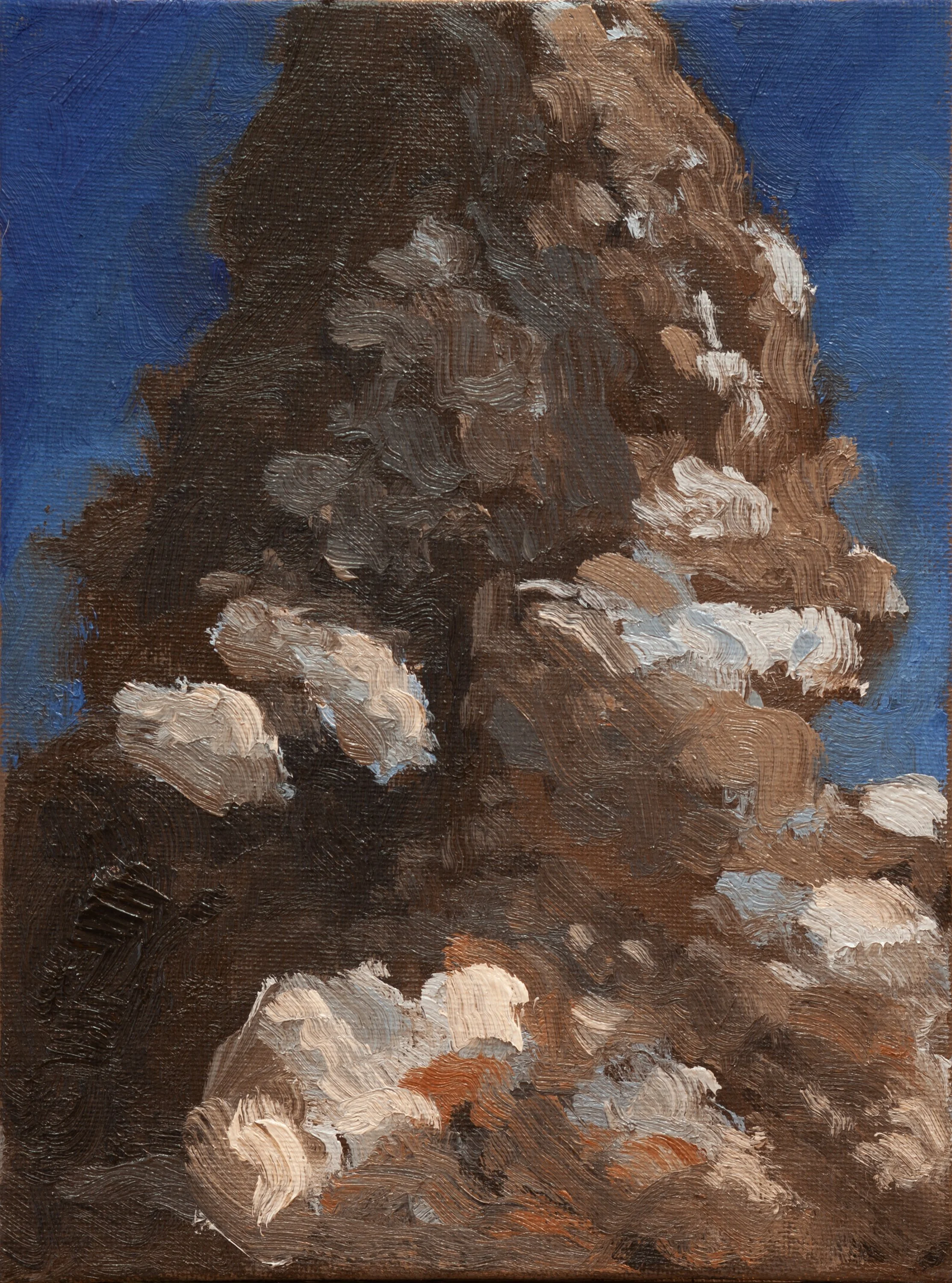 Winter Pine