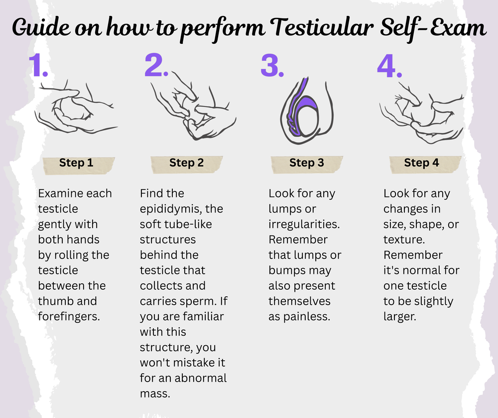 Testicale Inspecion Testicular Self-Exam Guide | Early Detection at Culver Primary — CULVER ...