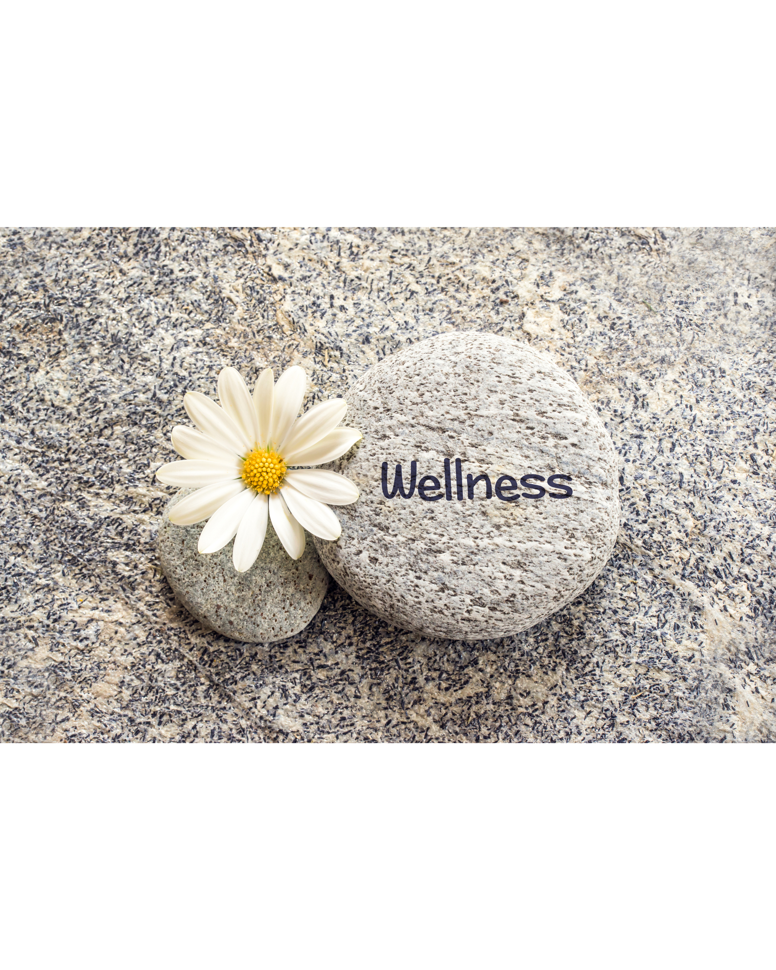 National Wellness month: Small habits, big impact