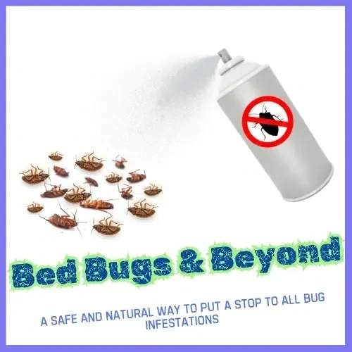 Bed Bugs &amp; Beyond