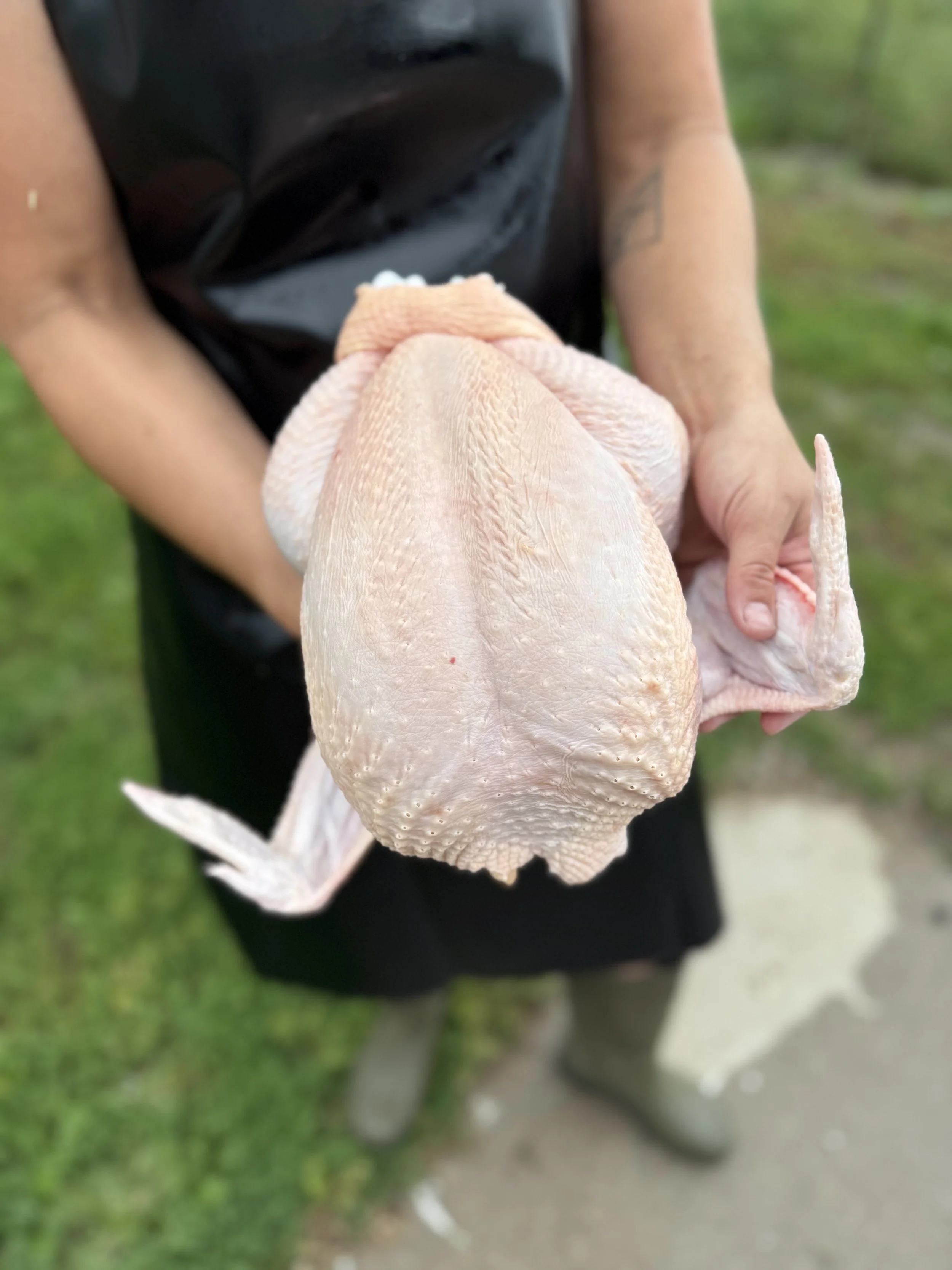 Whole Chicken