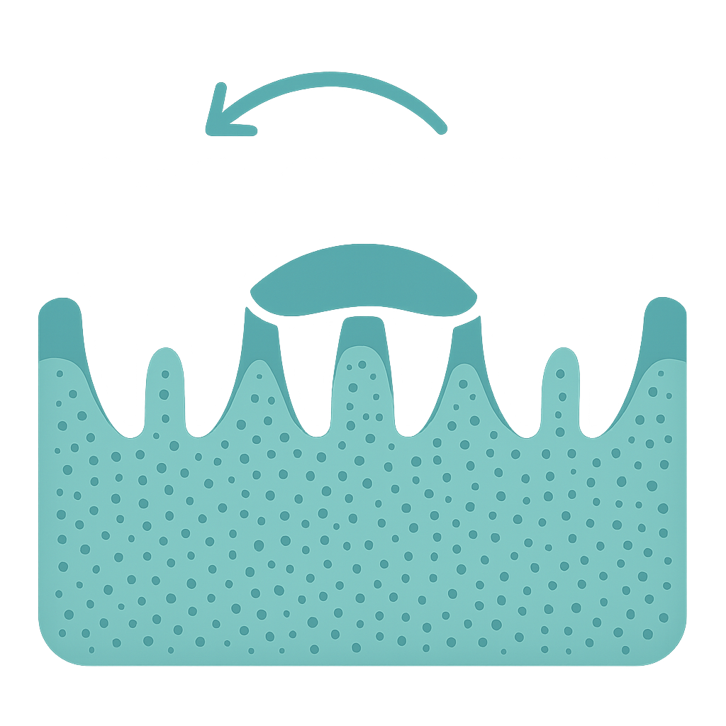 Guided Tissue Regeneration for periodontal disease