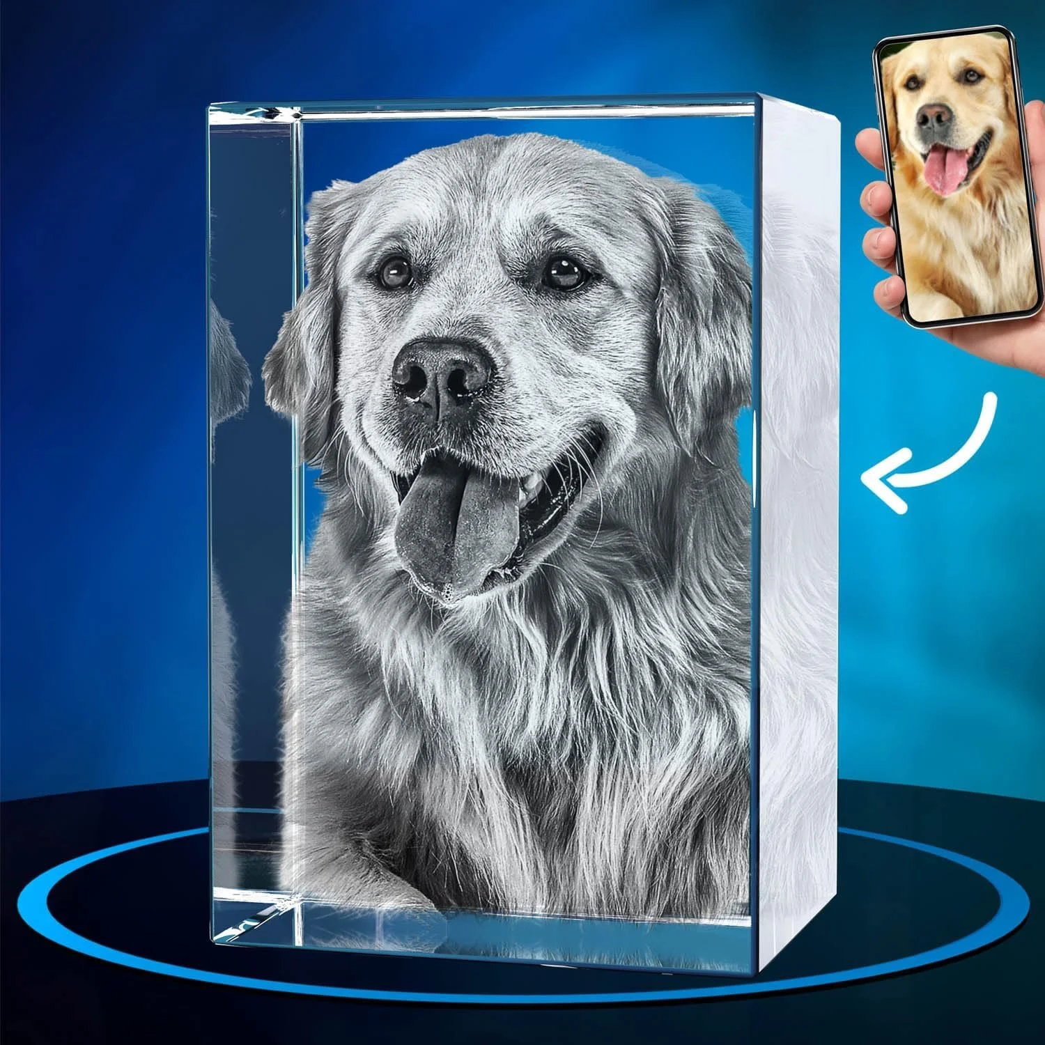 A 3D display of a Labrador Retriever's portrait in a glass box with a person taking a photo of it on a smartphone.
