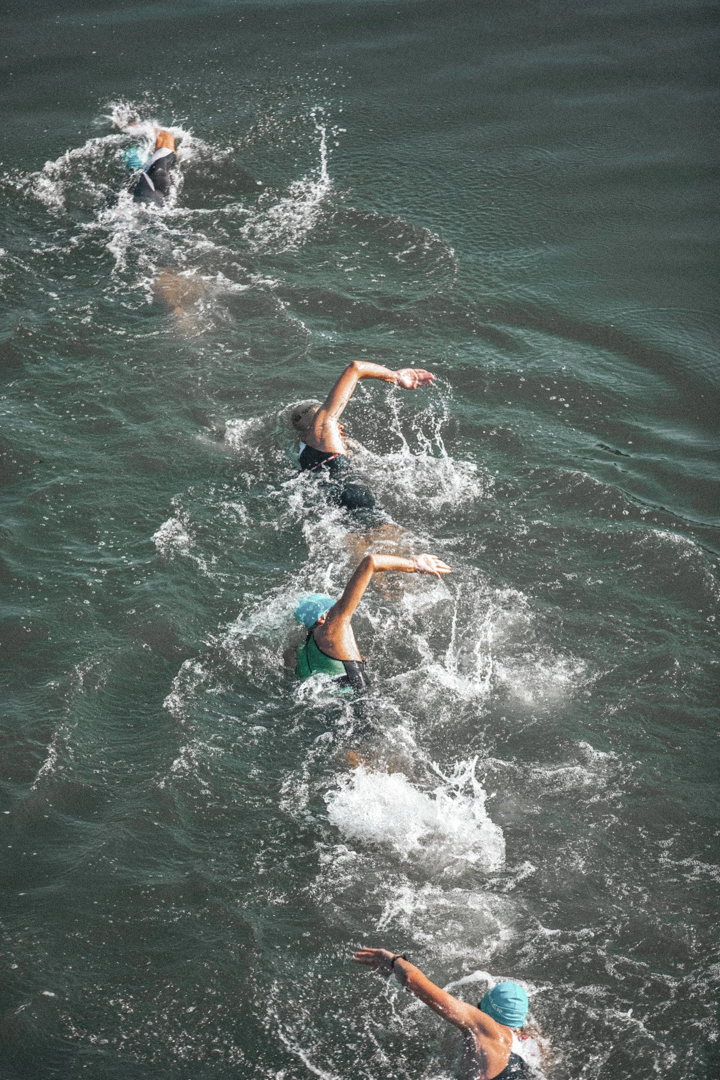 Swimmers in open water participating in a race, triathlon, or open water event.