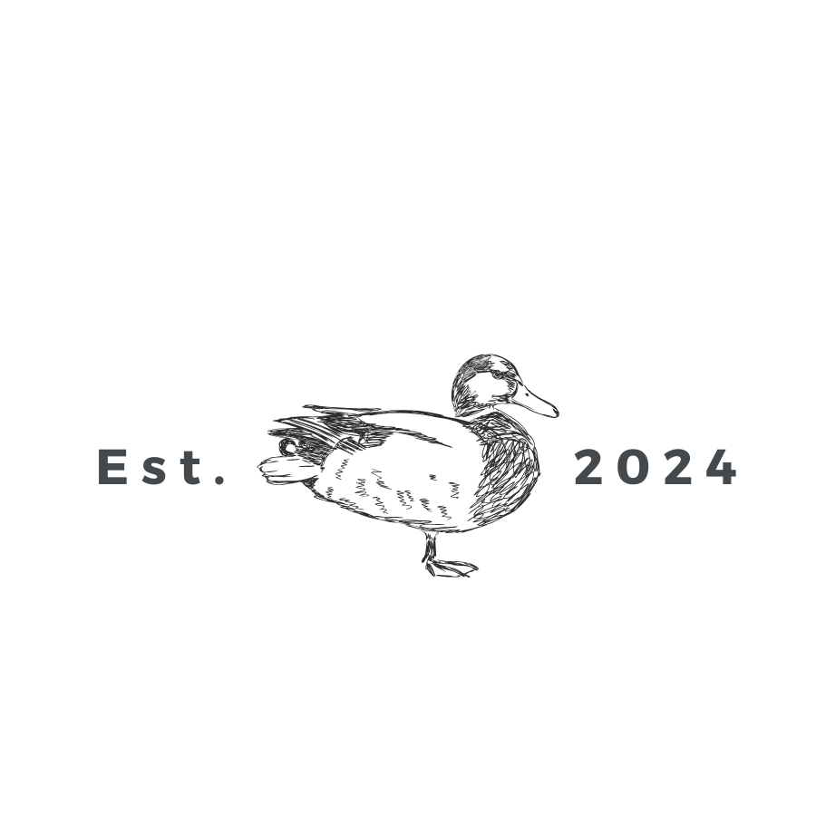 YouTube | Discover & Learn Today — Little Sunshine Readers