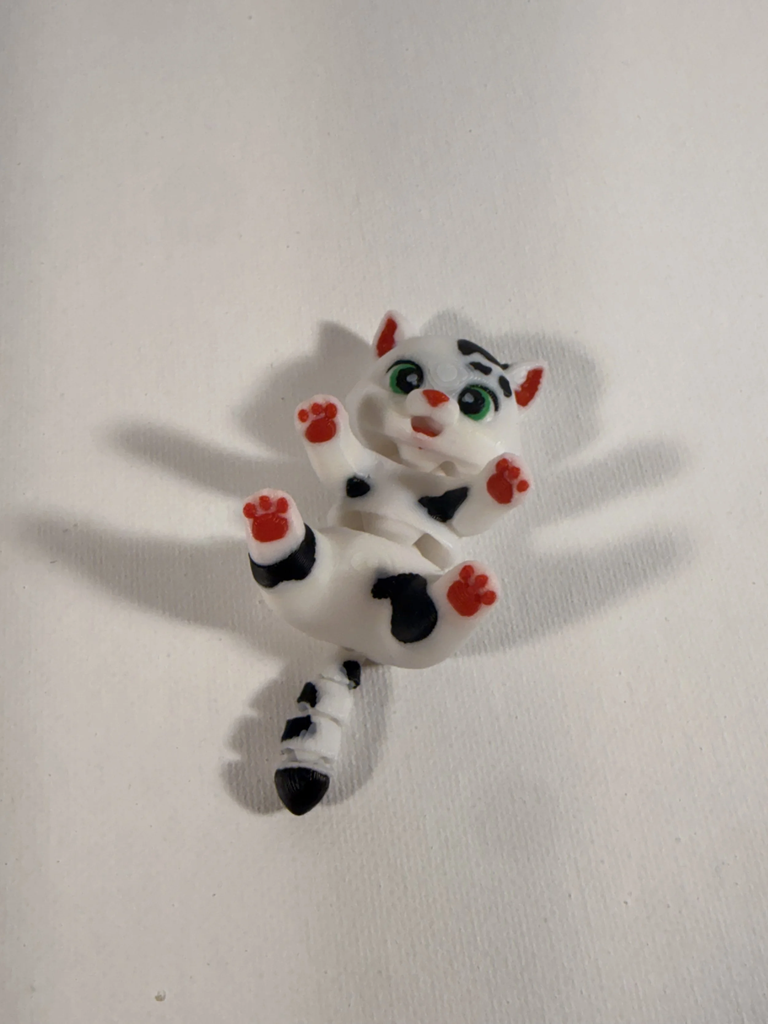 IMG_0731.jpeg