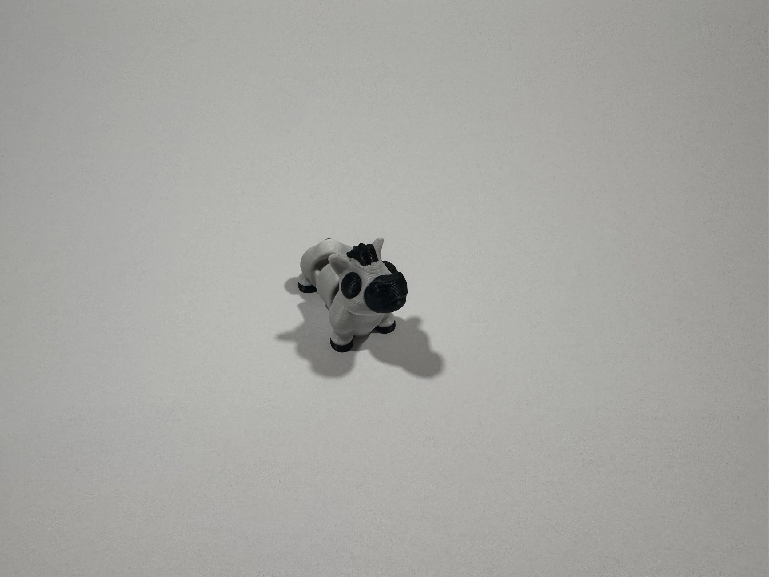 Mini Animals