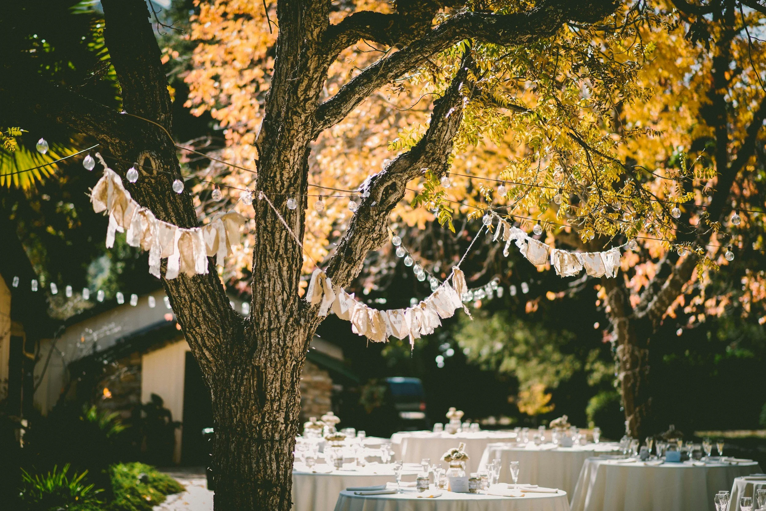 Outdoor celebration setup with tables and decorations, featuring a tree with string lights and fabric garlands.